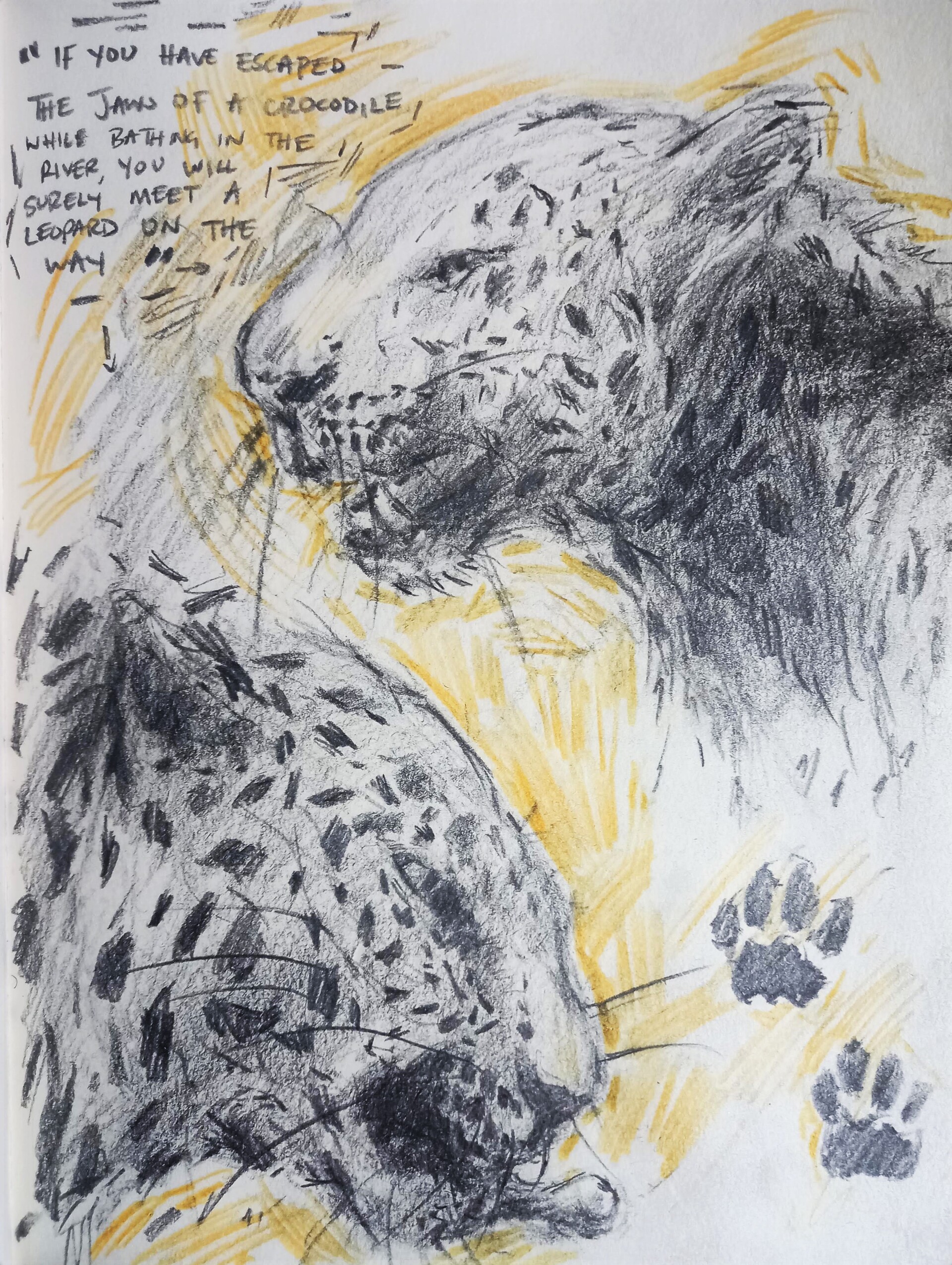 ArtStation Leopard sketchbook work