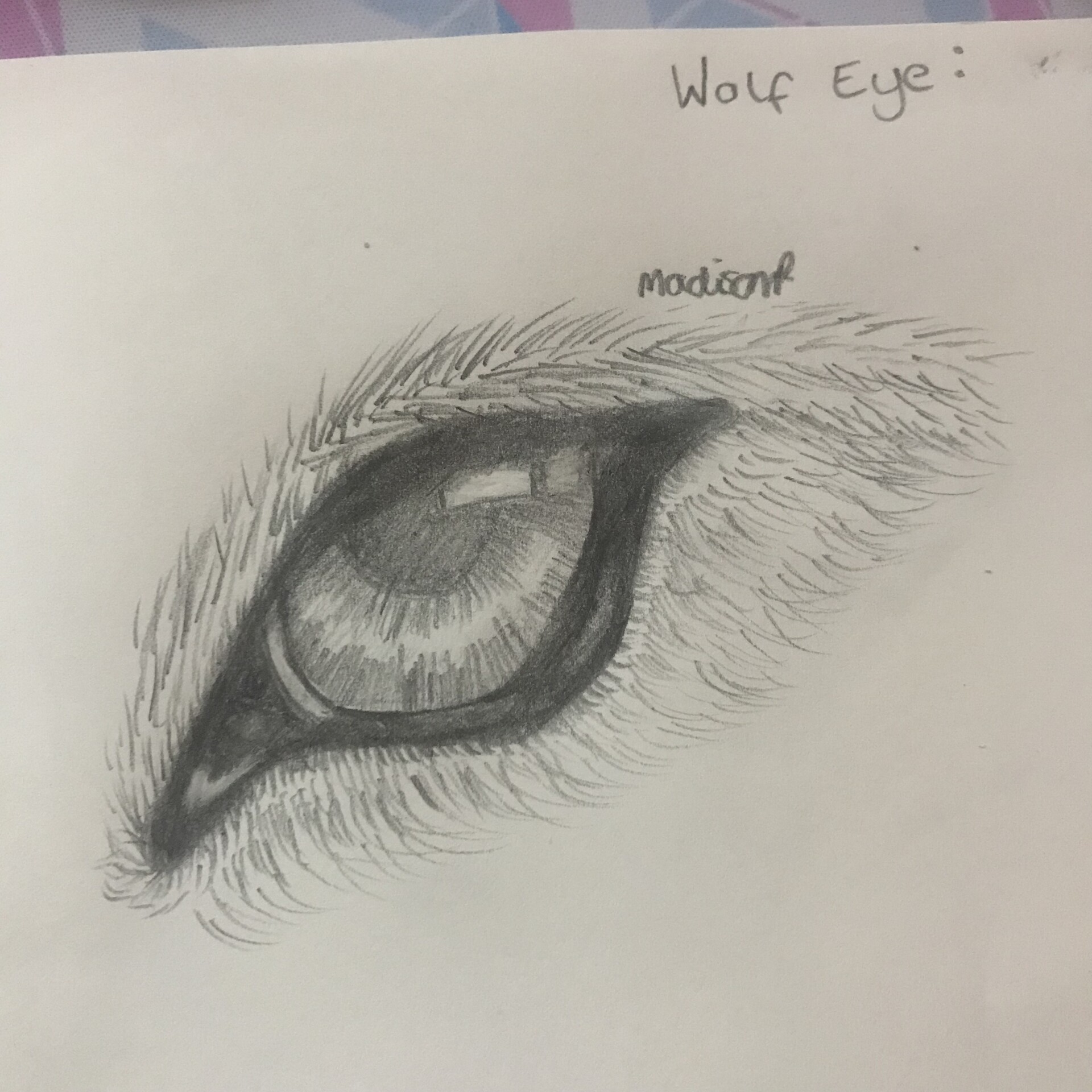 How To Draw A Wolf Eye Step By Step