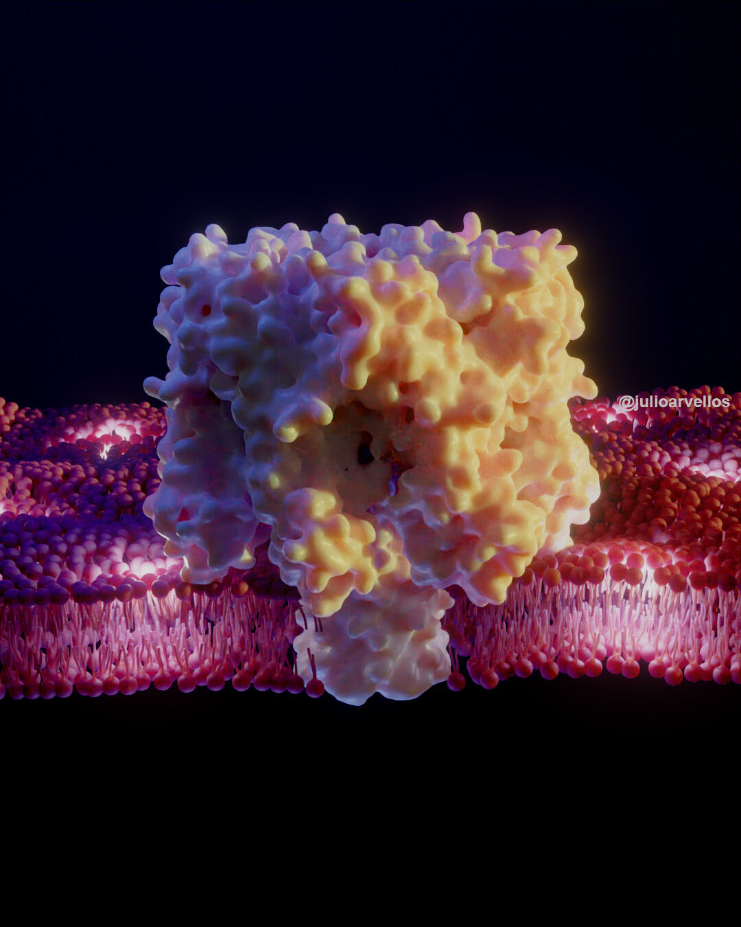 ArtStation Alpha hemolysin