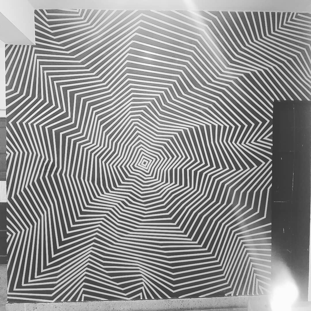 Anubhav Sajeev Duct Tape Art