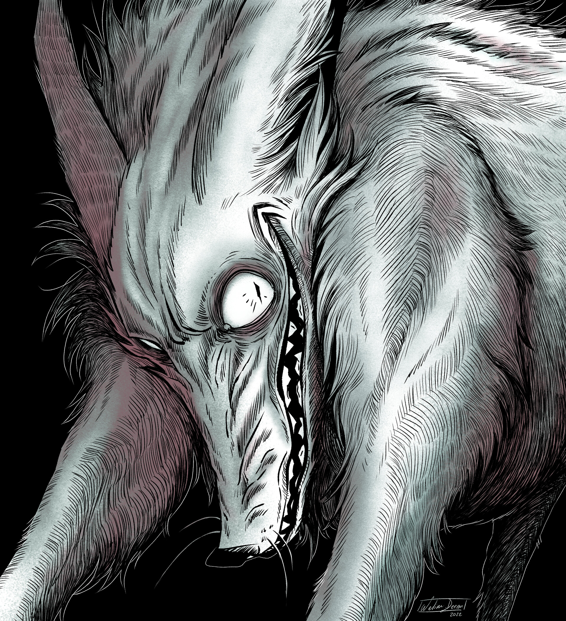 evil wolf drawing
