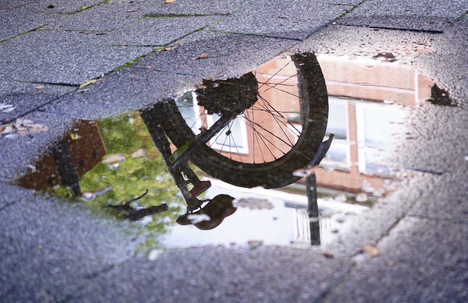 ArtStation - The inverted water world