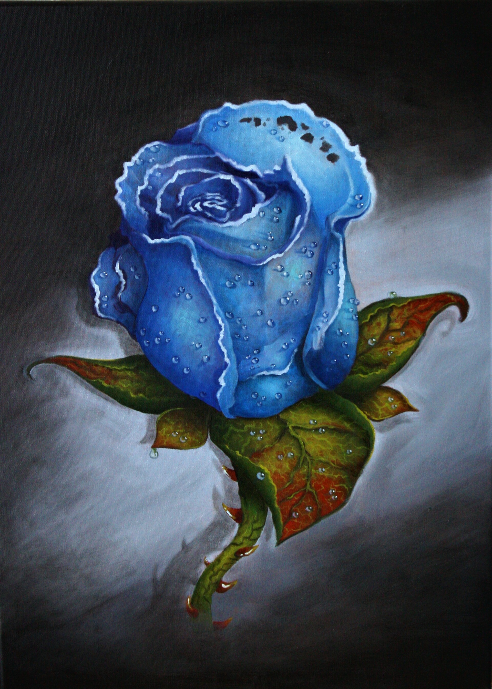 ArtStation - Blue Rose