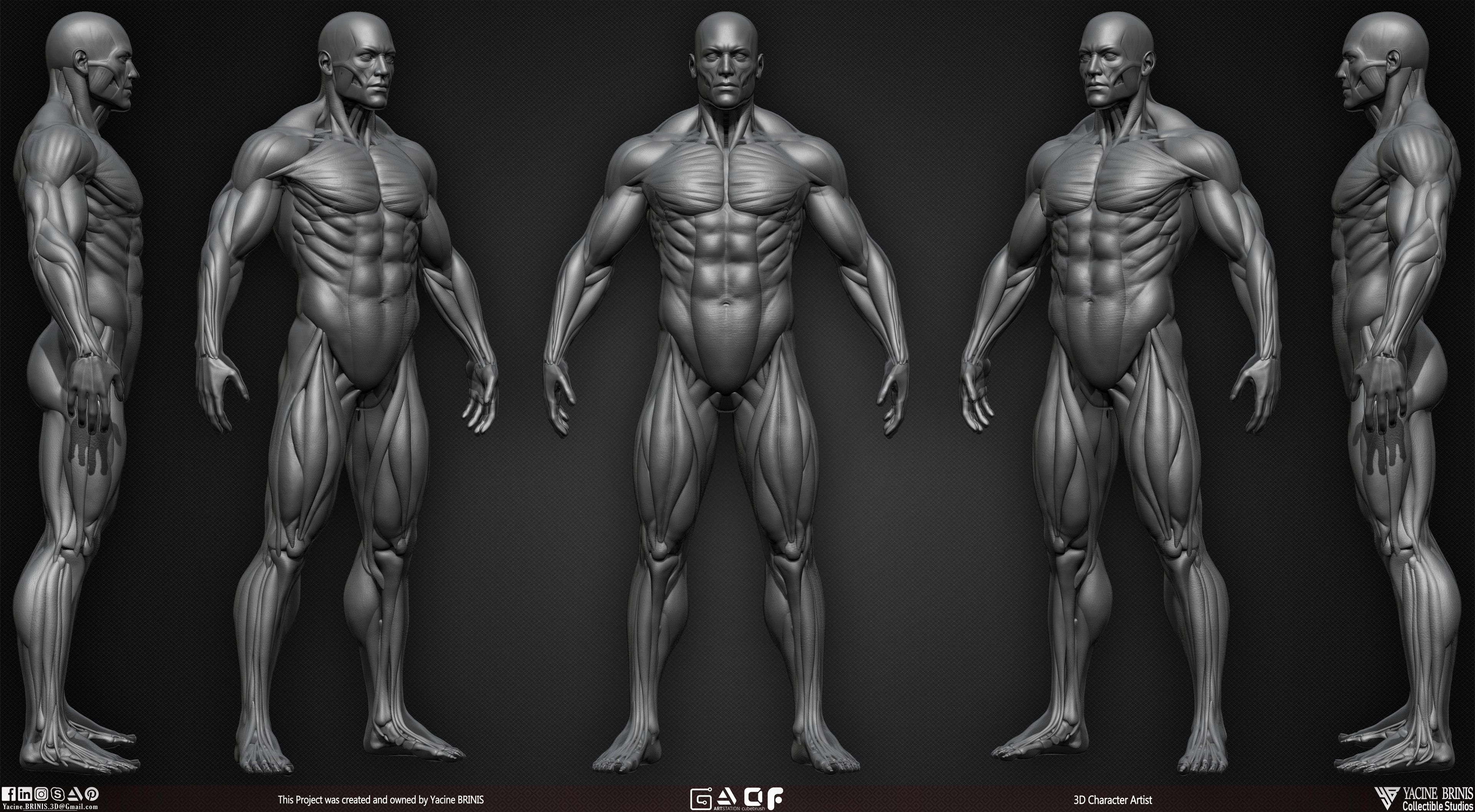 Male Human Muscles 3D Model sculpted by Yacine BRINIS 005