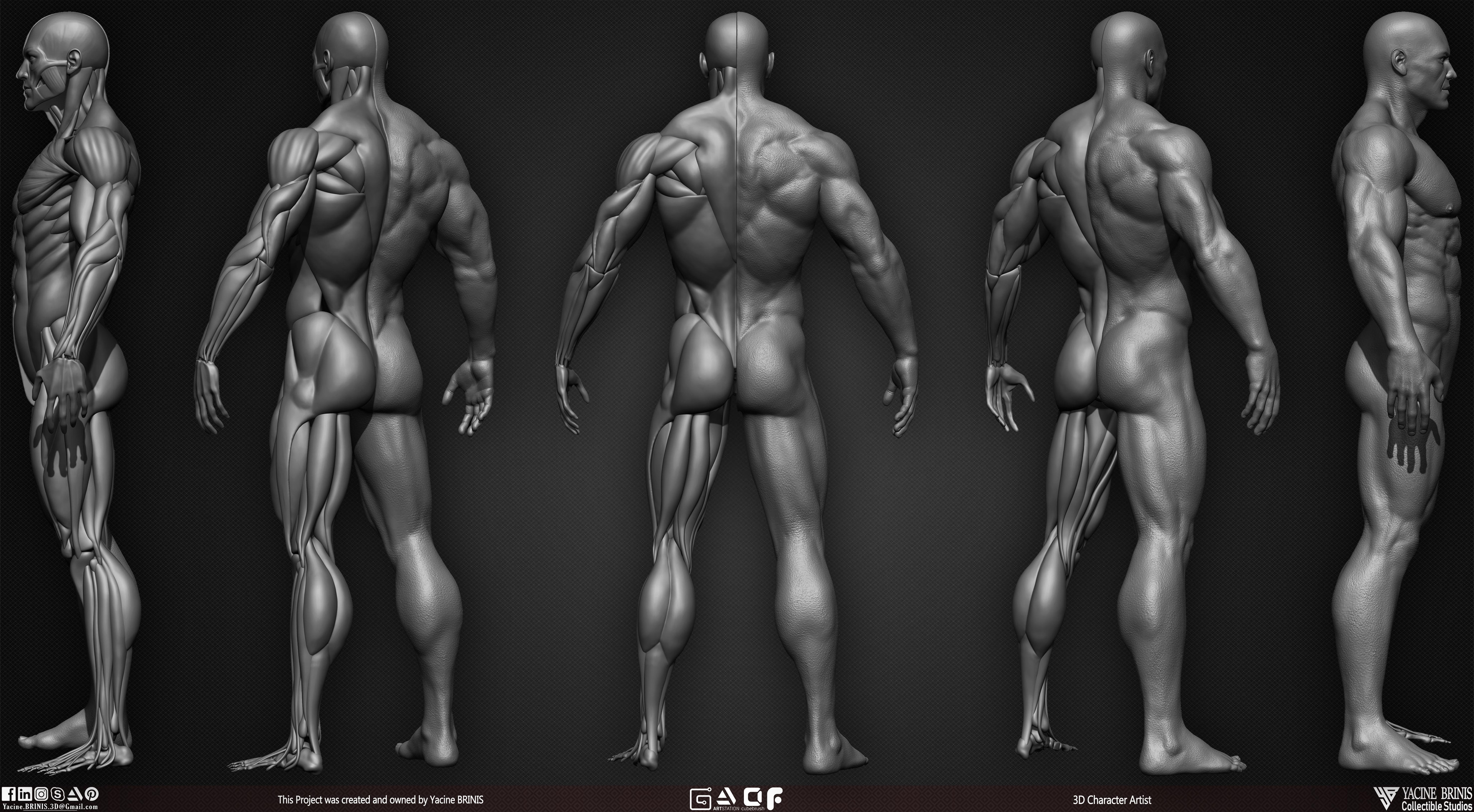Male Human Muscles 3D Model sculpted by Yacine BRINIS 007