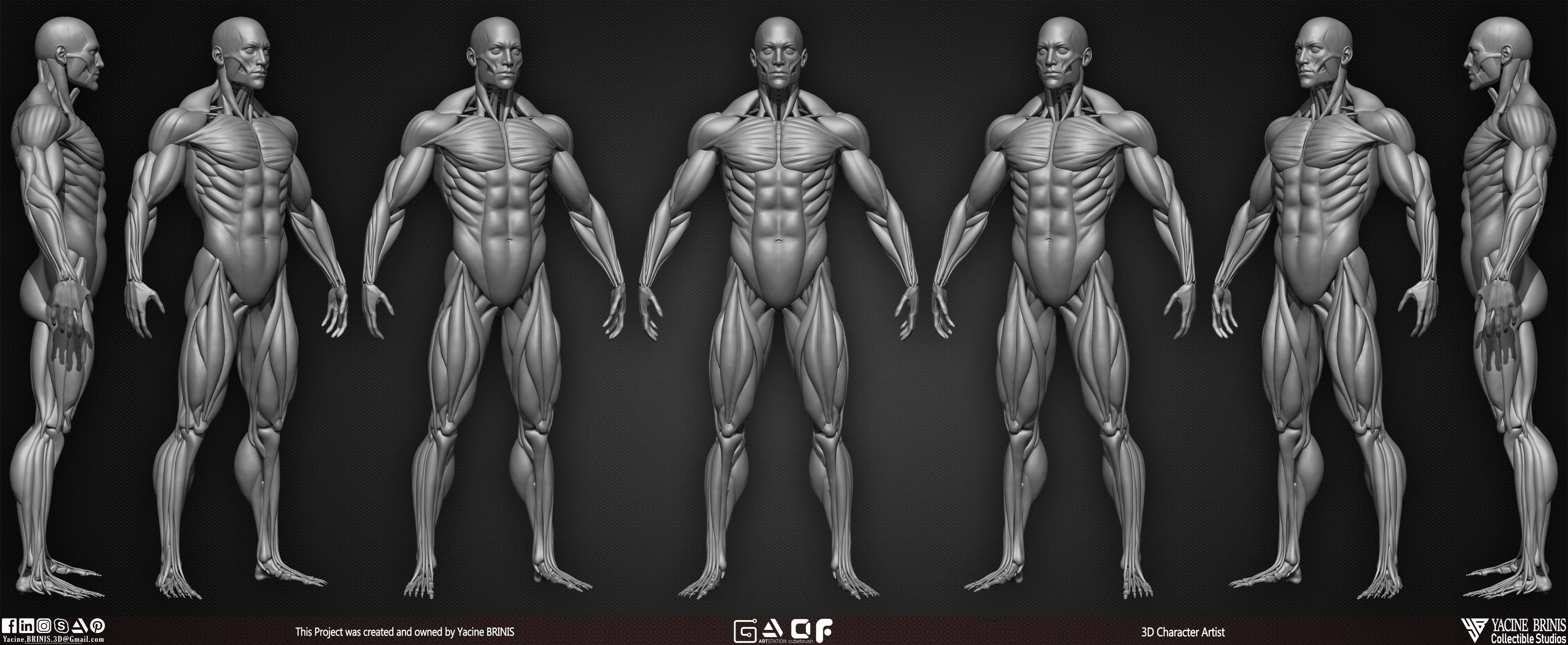 Male Human Muscles 3D Model sculpted by Yacine BRINIS 002