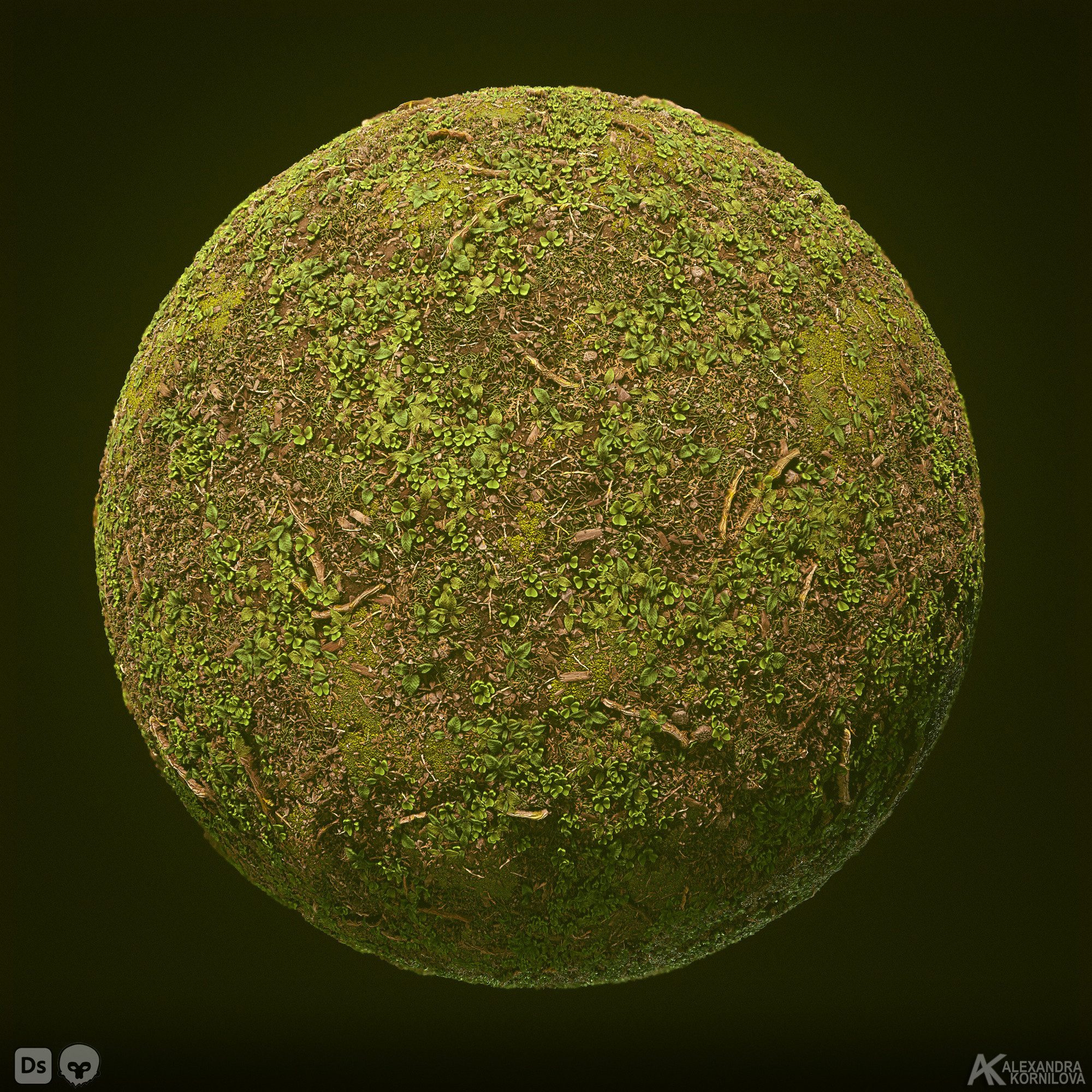 Alexandra (Sasha) Kornilova Forest Soils Substance Designer