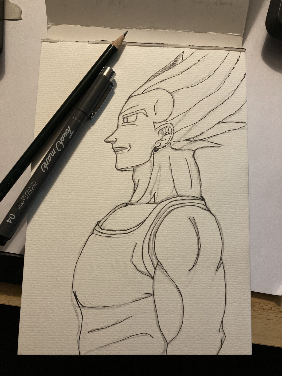 step 2: Outlines
