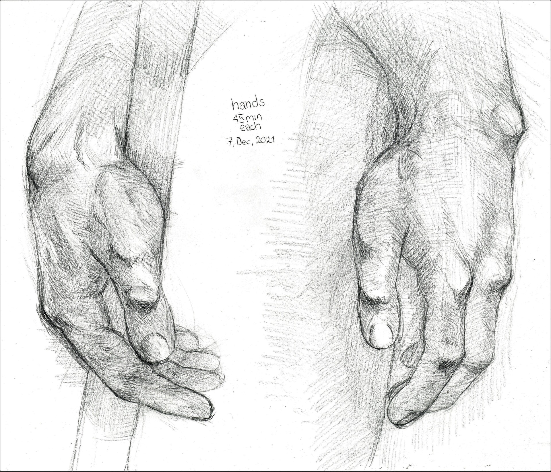 ArtStation - foot and hand studies - Dec, 2021