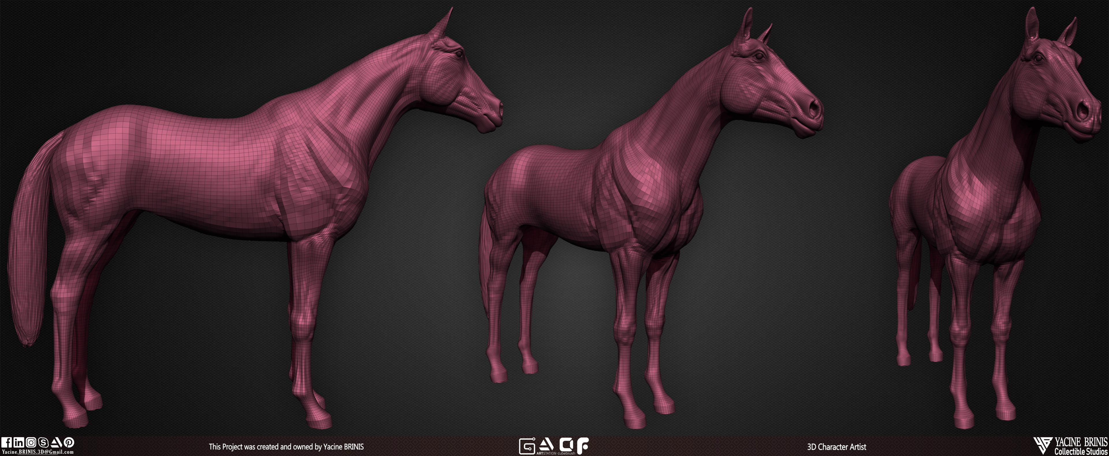 Horse anatomy Basemesh 3D Model sculpted by Yacine BRINIS 007