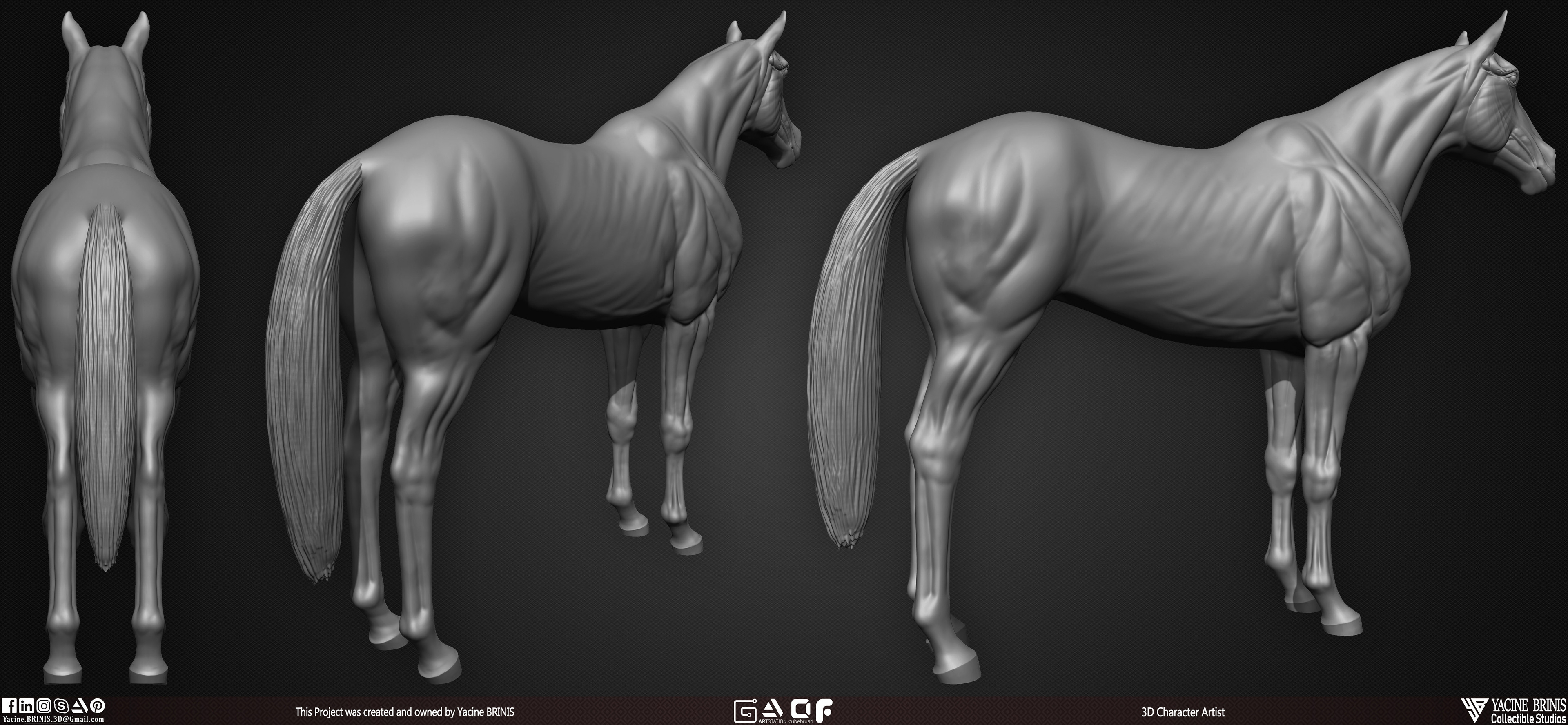 Horse anatomy Basemesh 3D Model sculpted by Yacine BRINIS 005