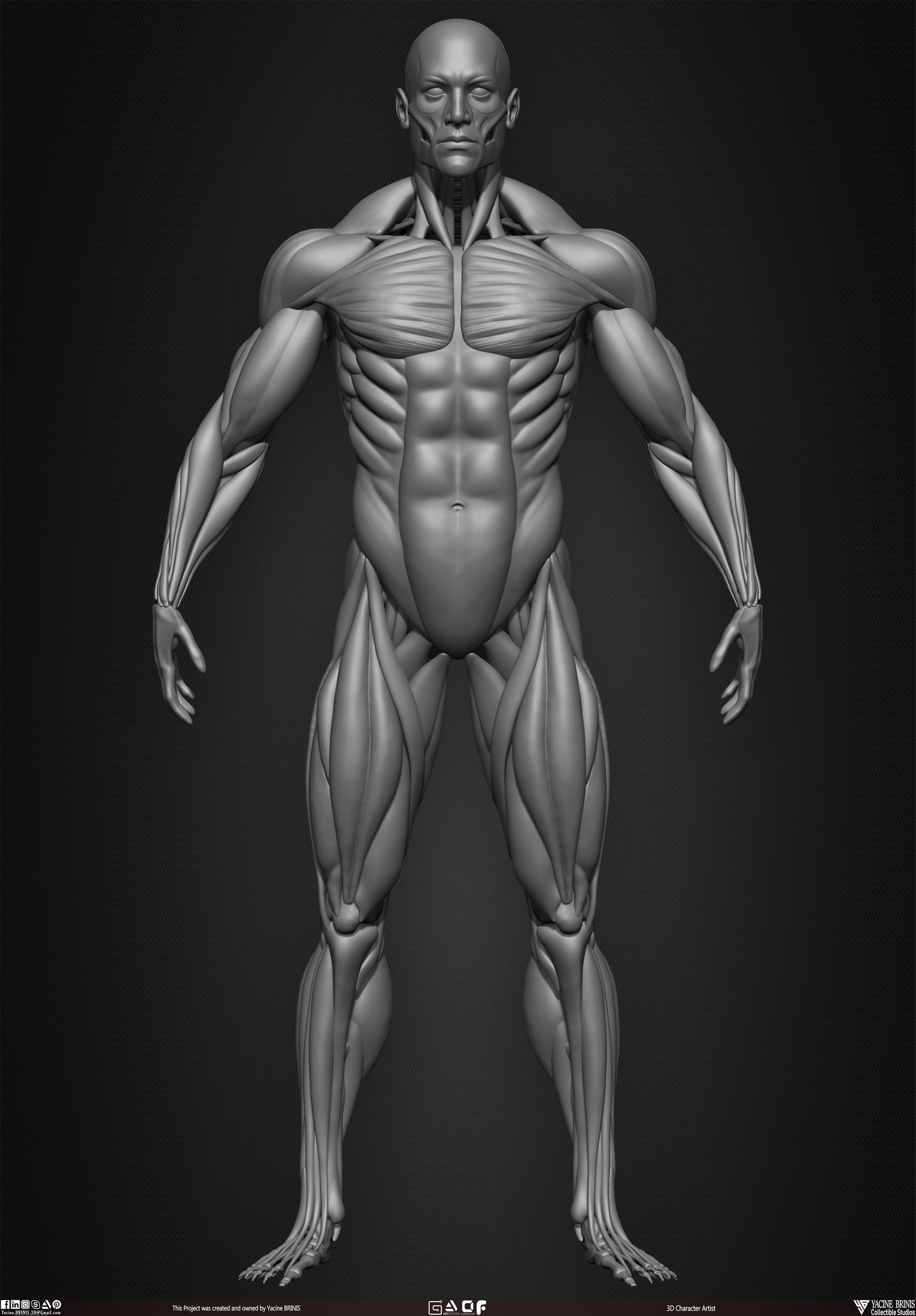 Male Human Muscles 3D Model sculpted by Yacine BRINIS 010