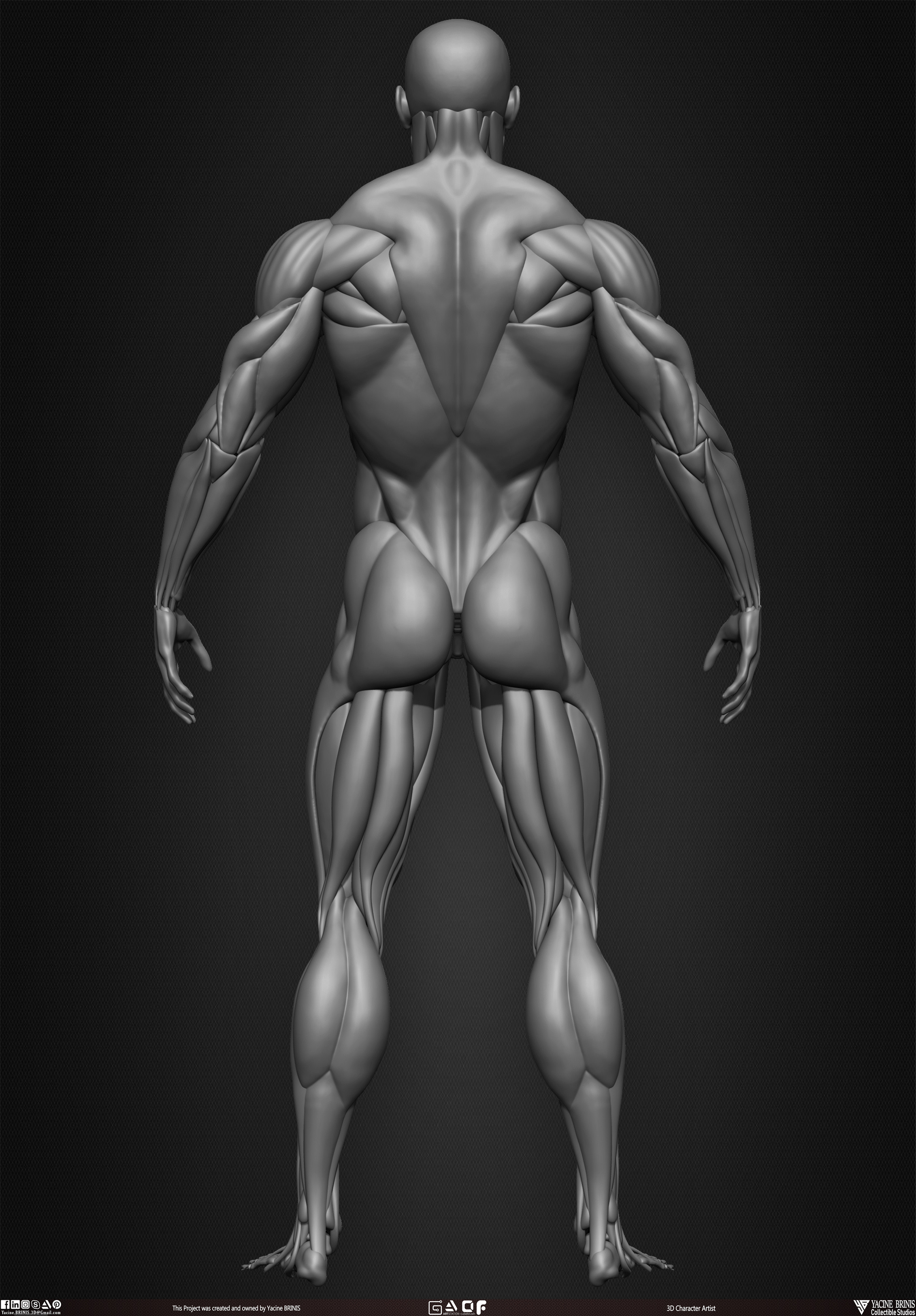 Male Human Muscles 3D Model sculpted by Yacine BRINIS 011