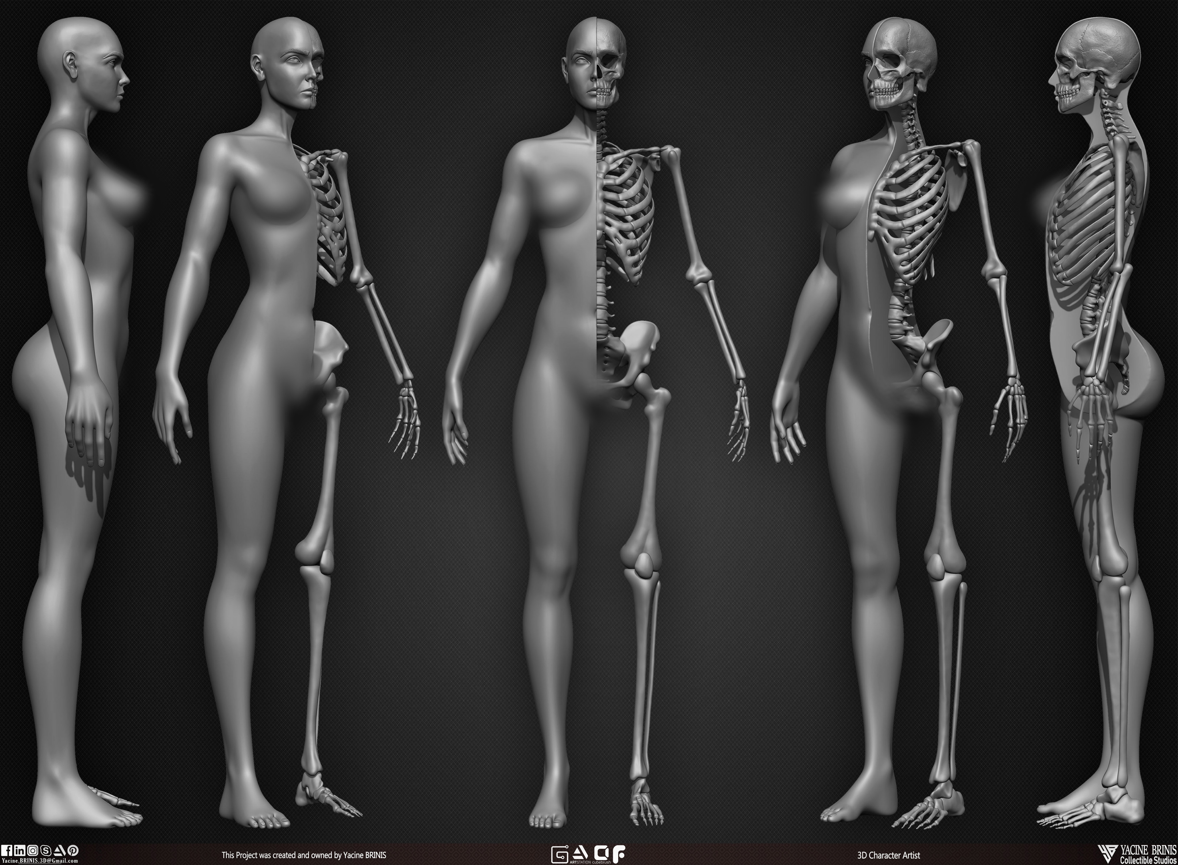 Female Human Skeleton 3D Model sculpted by Yacine BRINIS 002
