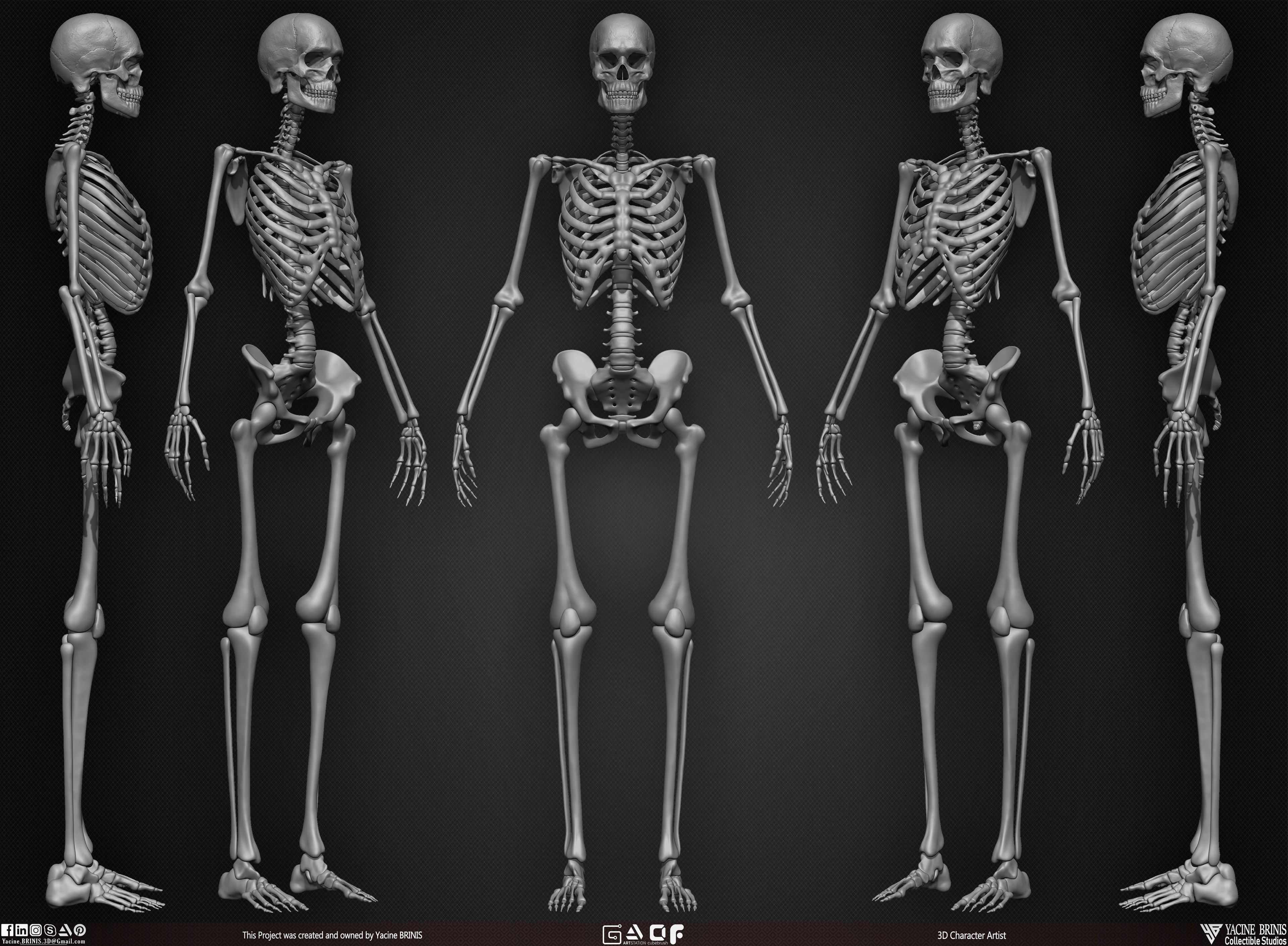Female Human Skeleton 3D Model sculpted by Yacine BRINIS 006