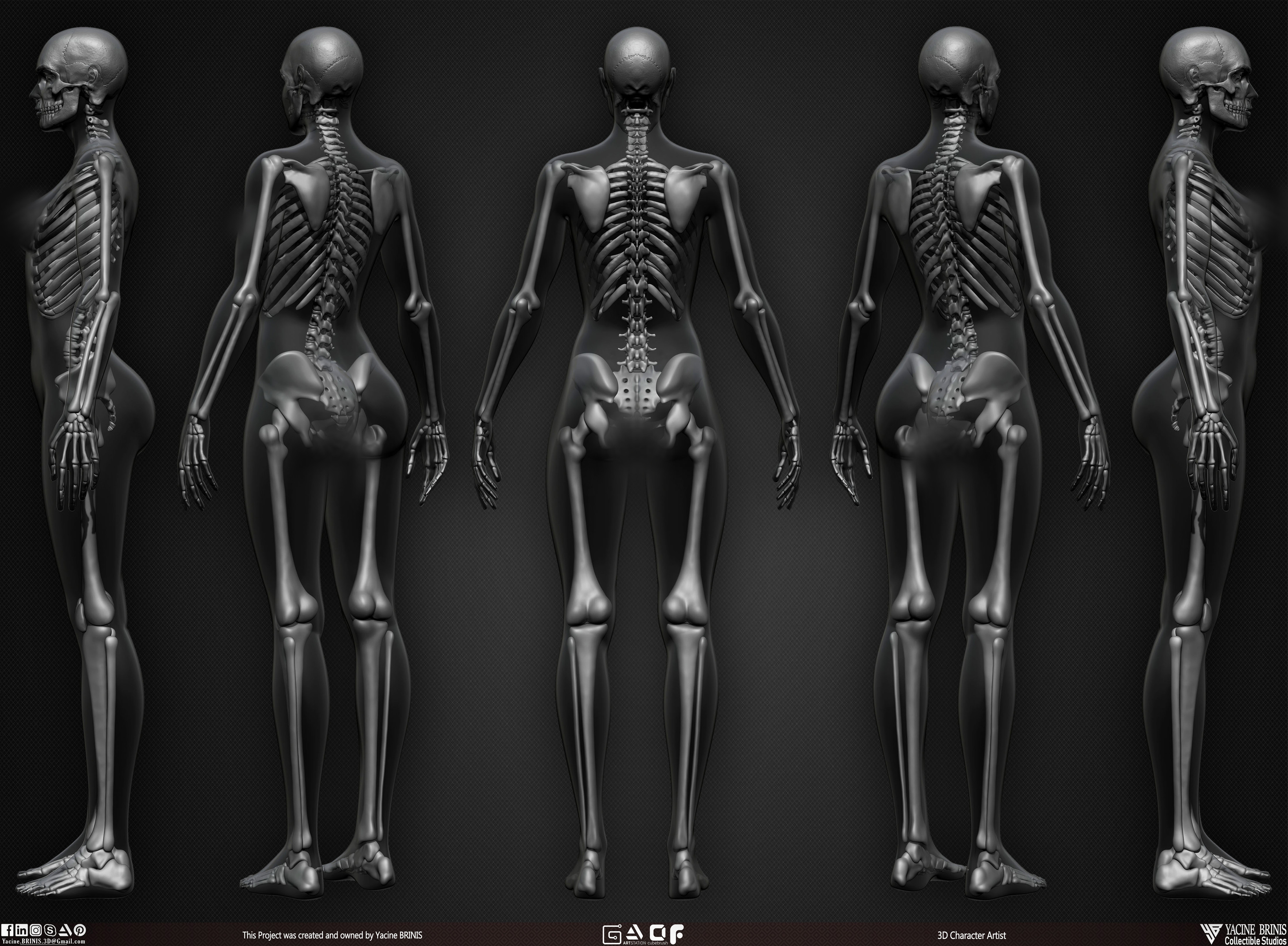 Female Human Skeleton 3D Model sculpted by Yacine BRINIS 009