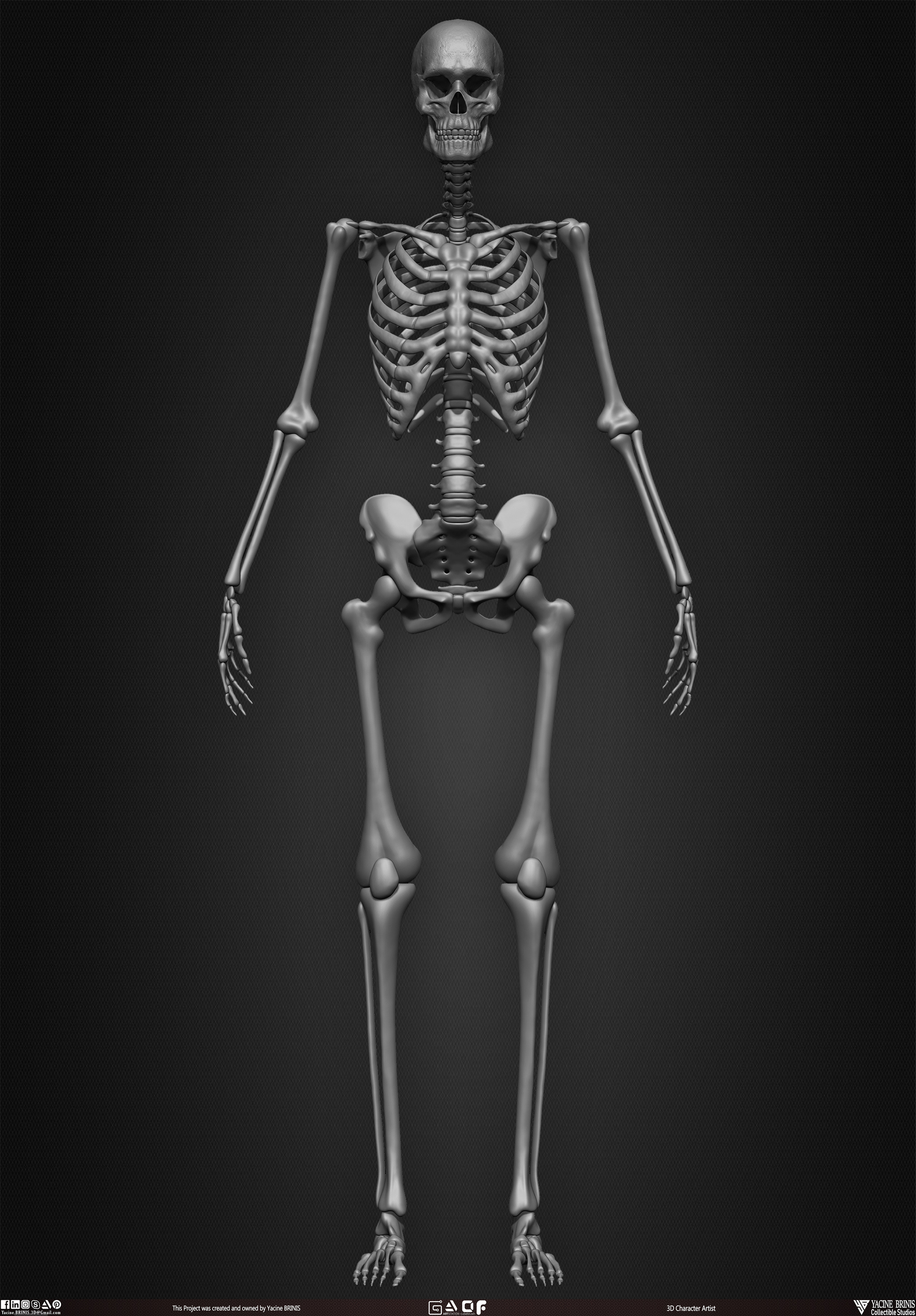 Female Human Skeleton 3D Model sculpted by Yacine BRINIS 013