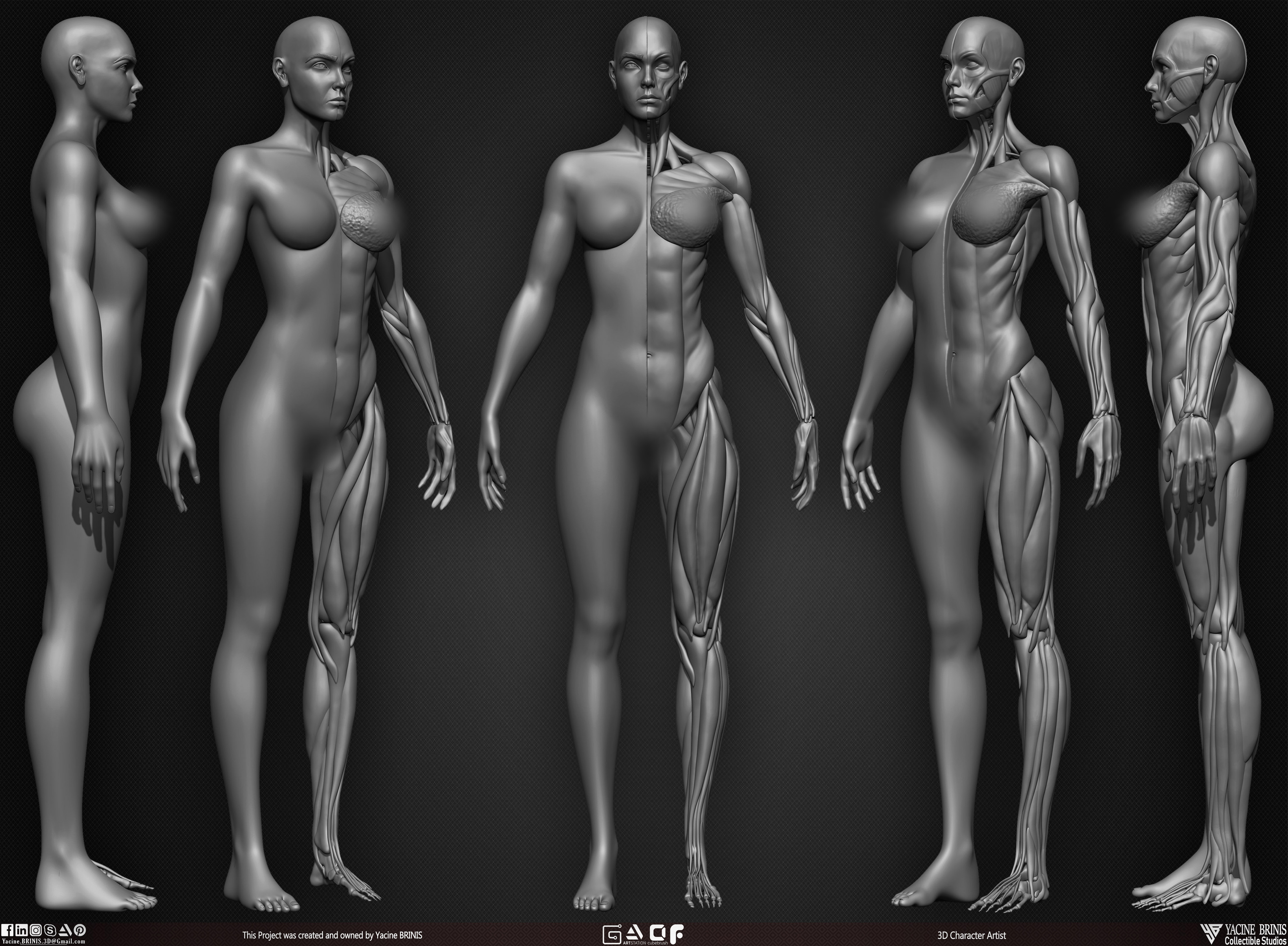 Female Human Muscles 3D Model sculpted by Yacine BRINIS 002