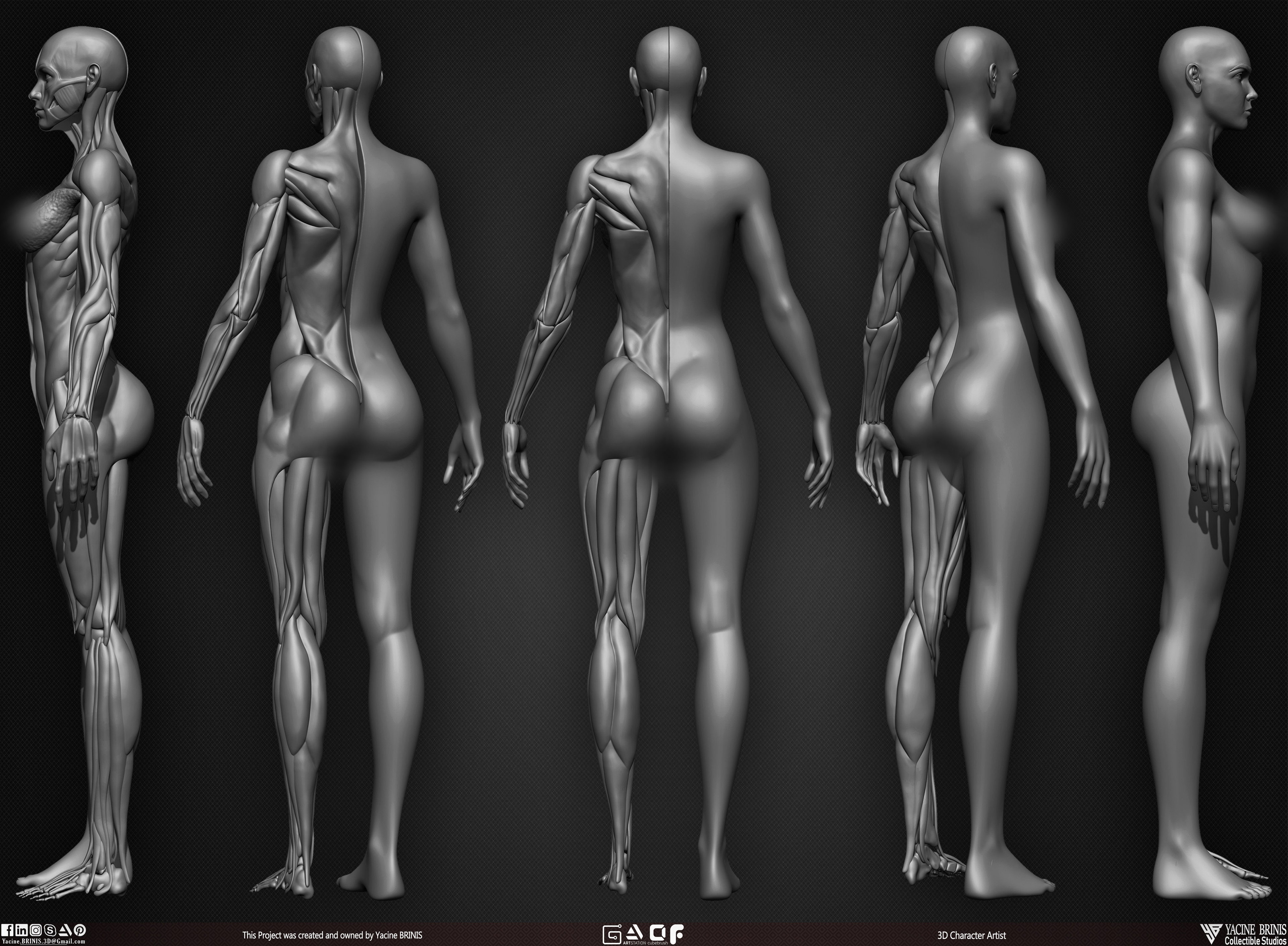 Female Human Muscles 3D Model sculpted by Yacine BRINIS 003