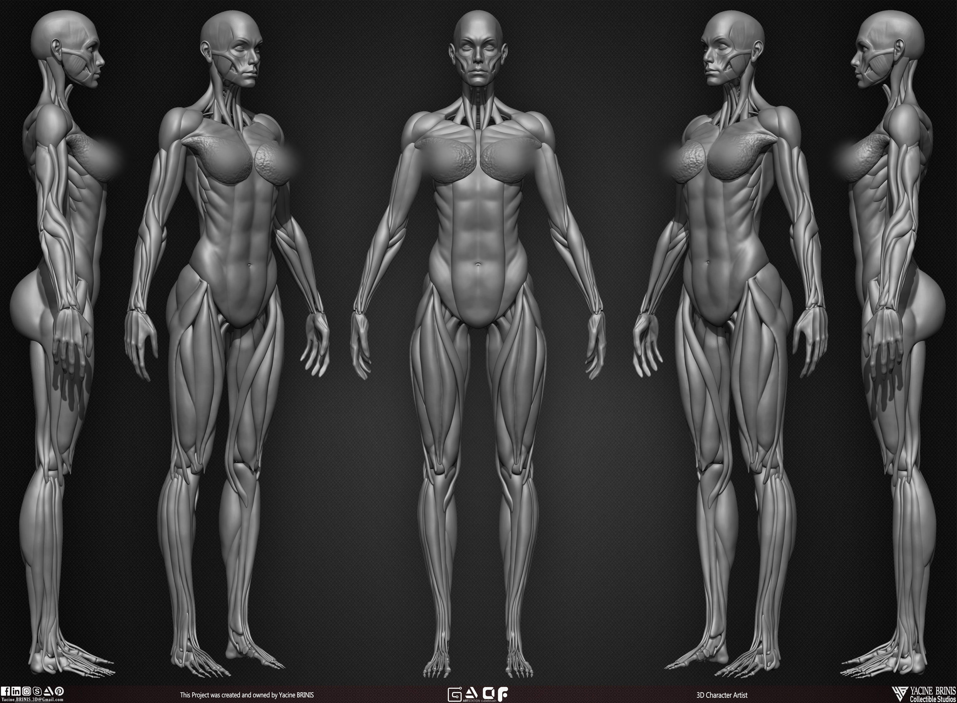 Female Human Muscles 3D Model sculpted by Yacine BRINIS 004