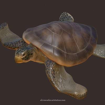 VR Design - Caret Sea Turtle (Nomad Sculpt to Unity)