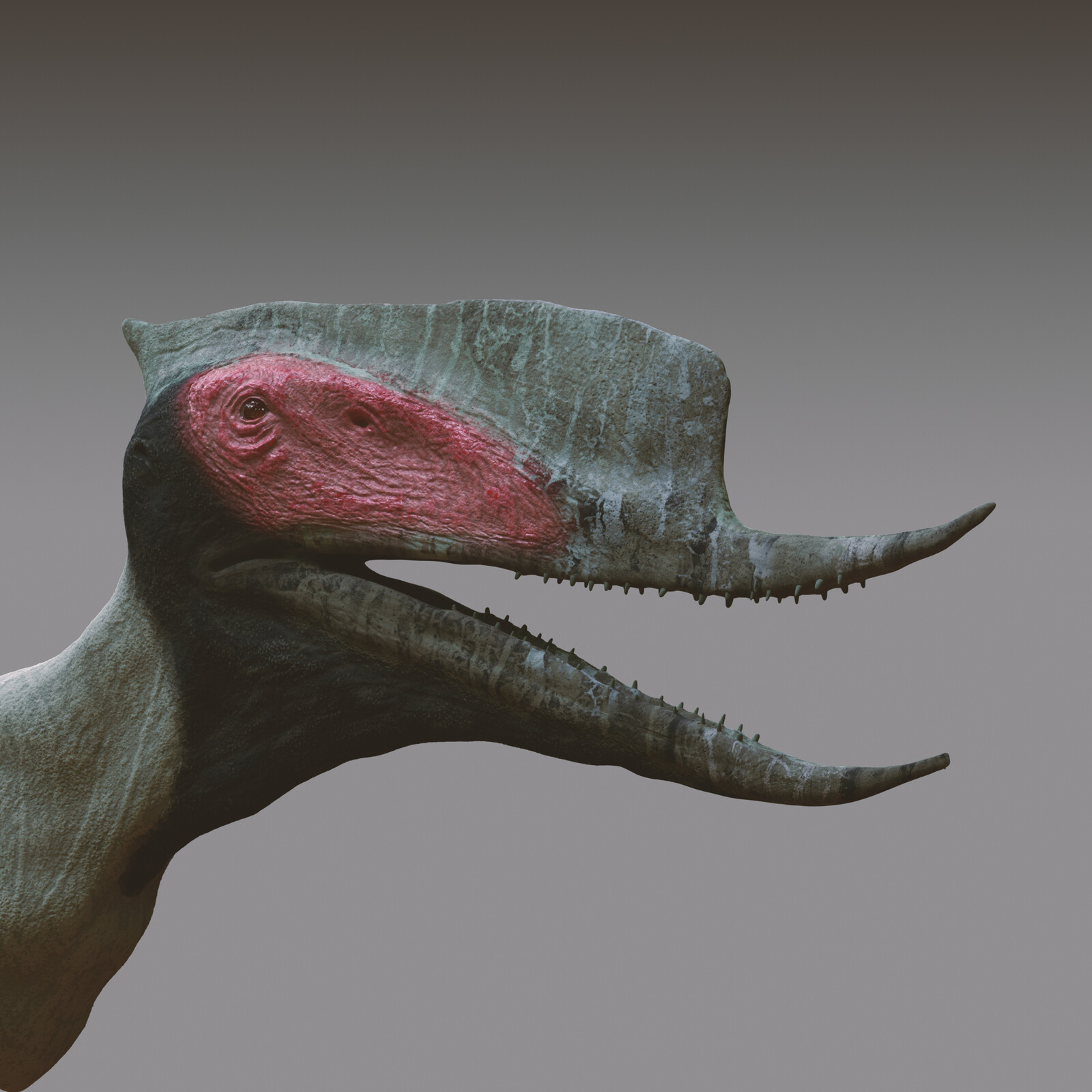 Texturing pass