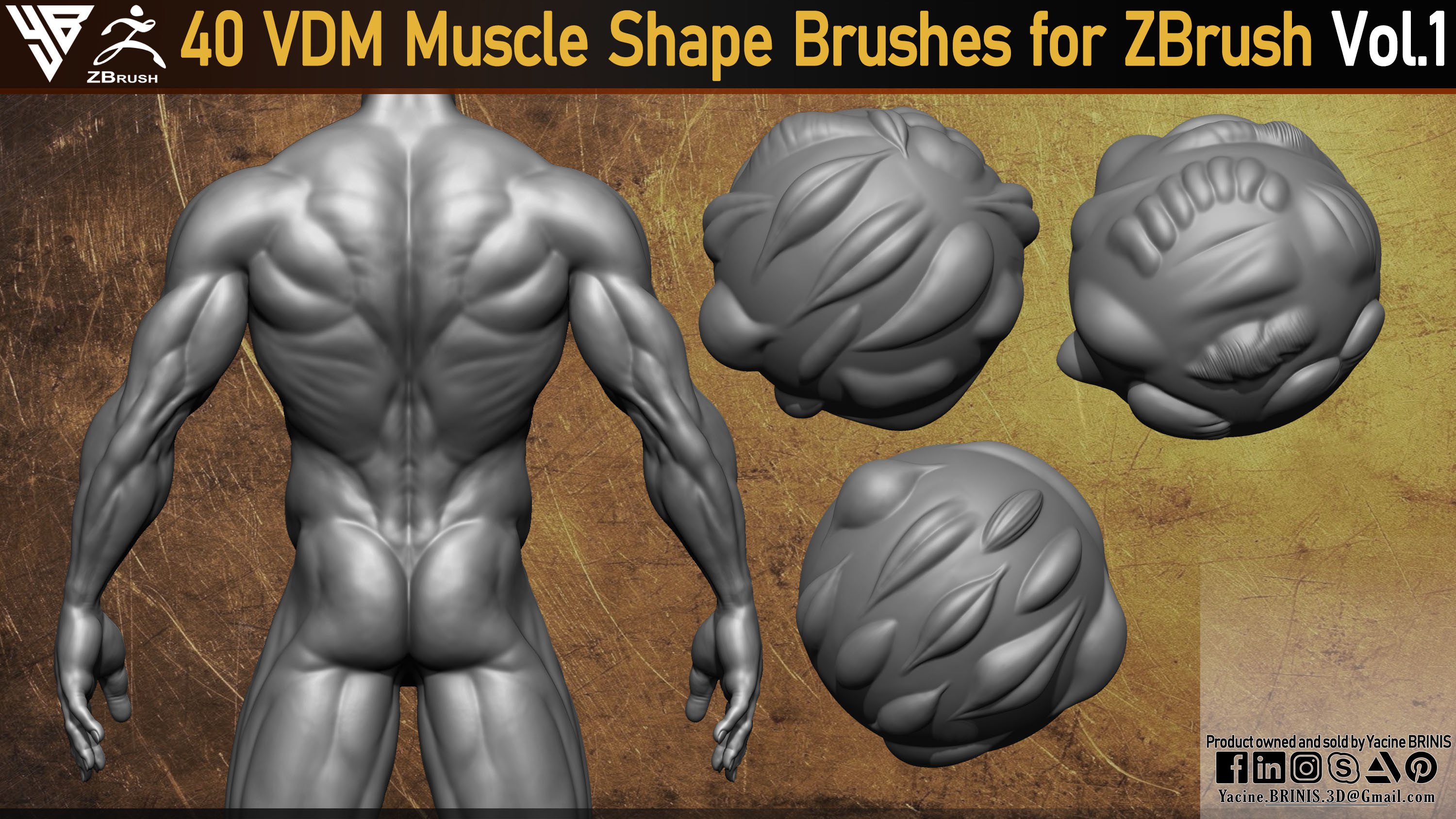 40 VDM Muscle Shape Brushes for ZBrush (By Yacine BRINIS) Set 004