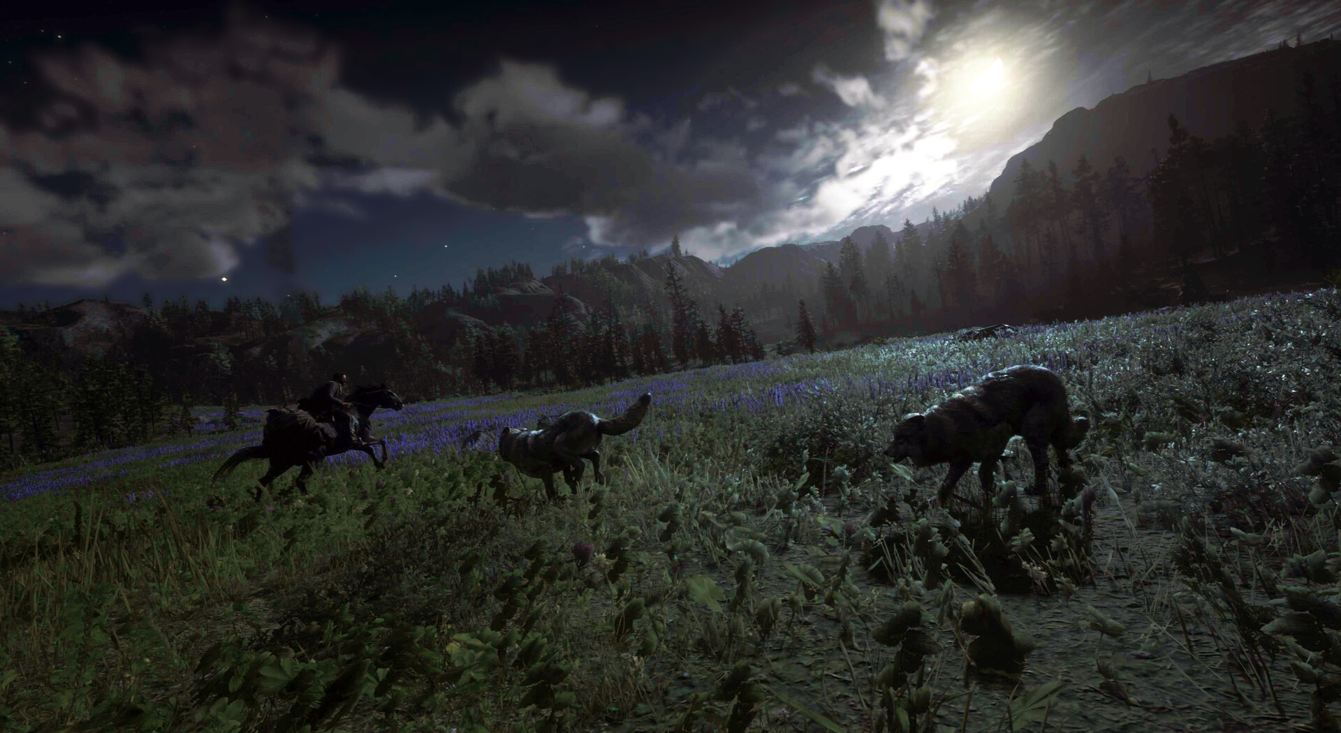ArtStation - Virtual Screenshot Captures 'Red Dead Redemption II