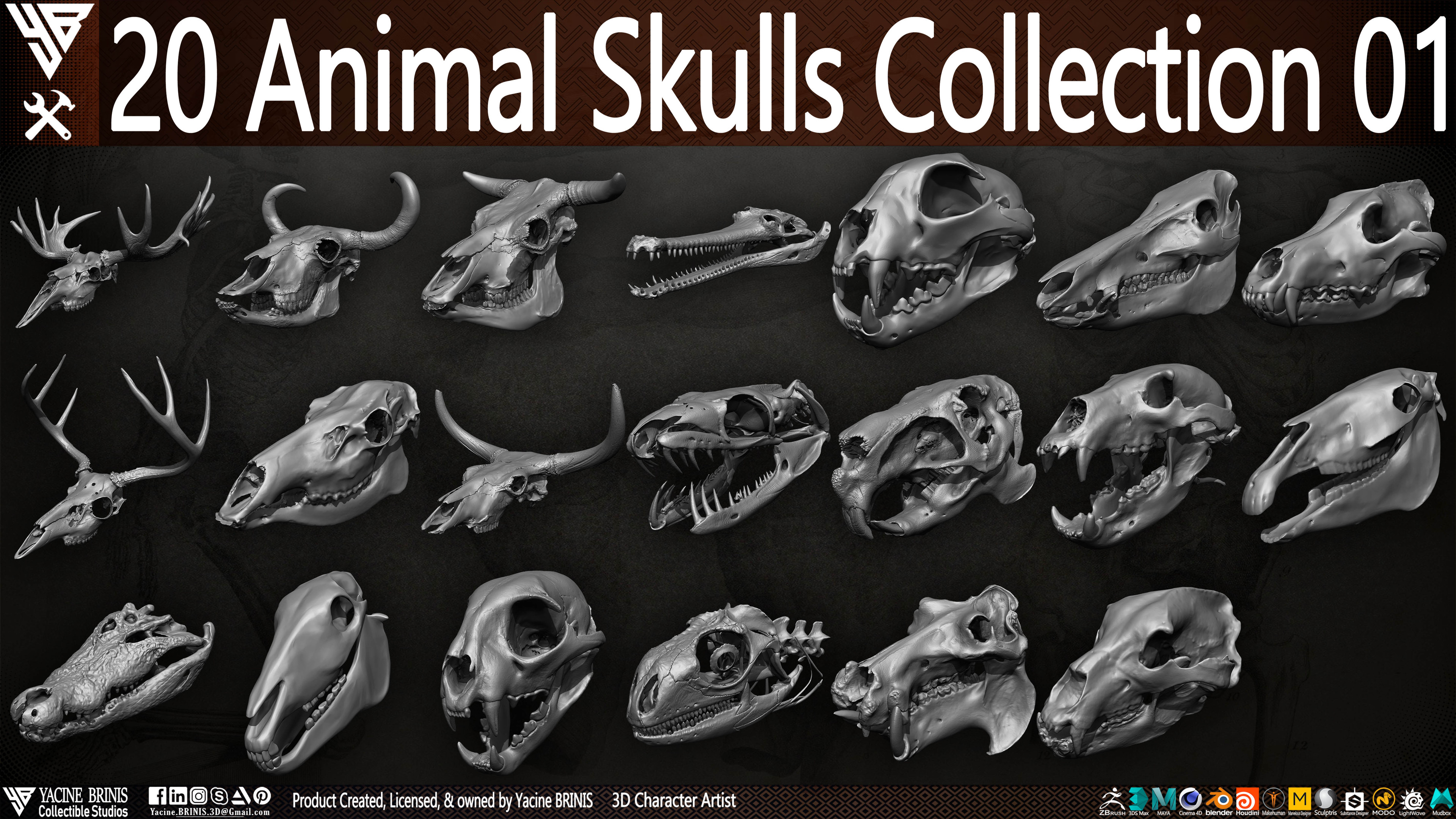 Yacine BRINIS Collectible Studios - Animal Skulls Collections