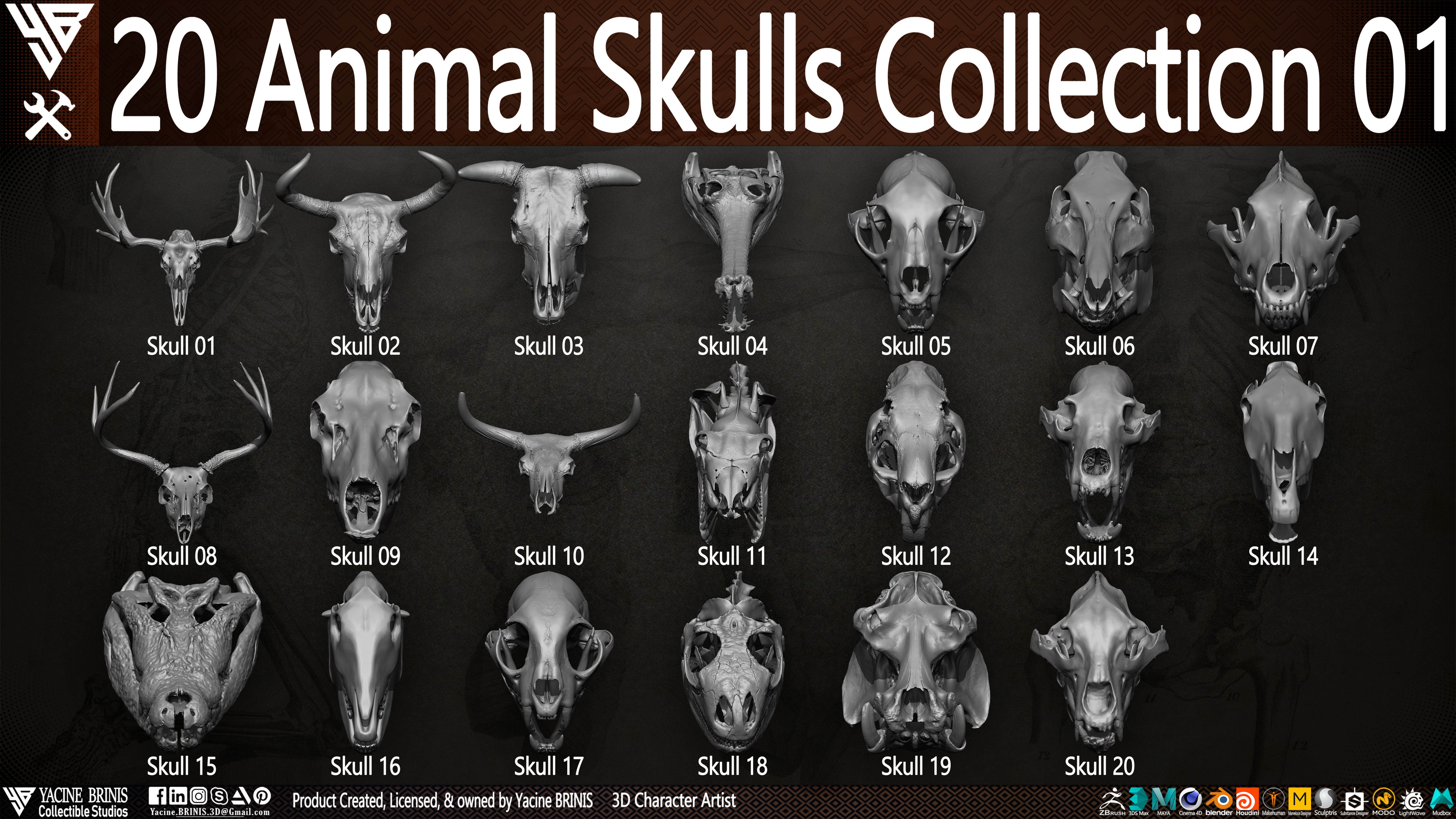 20 Animal Skulls Collection 03 By Yacine BRINIS Set 004