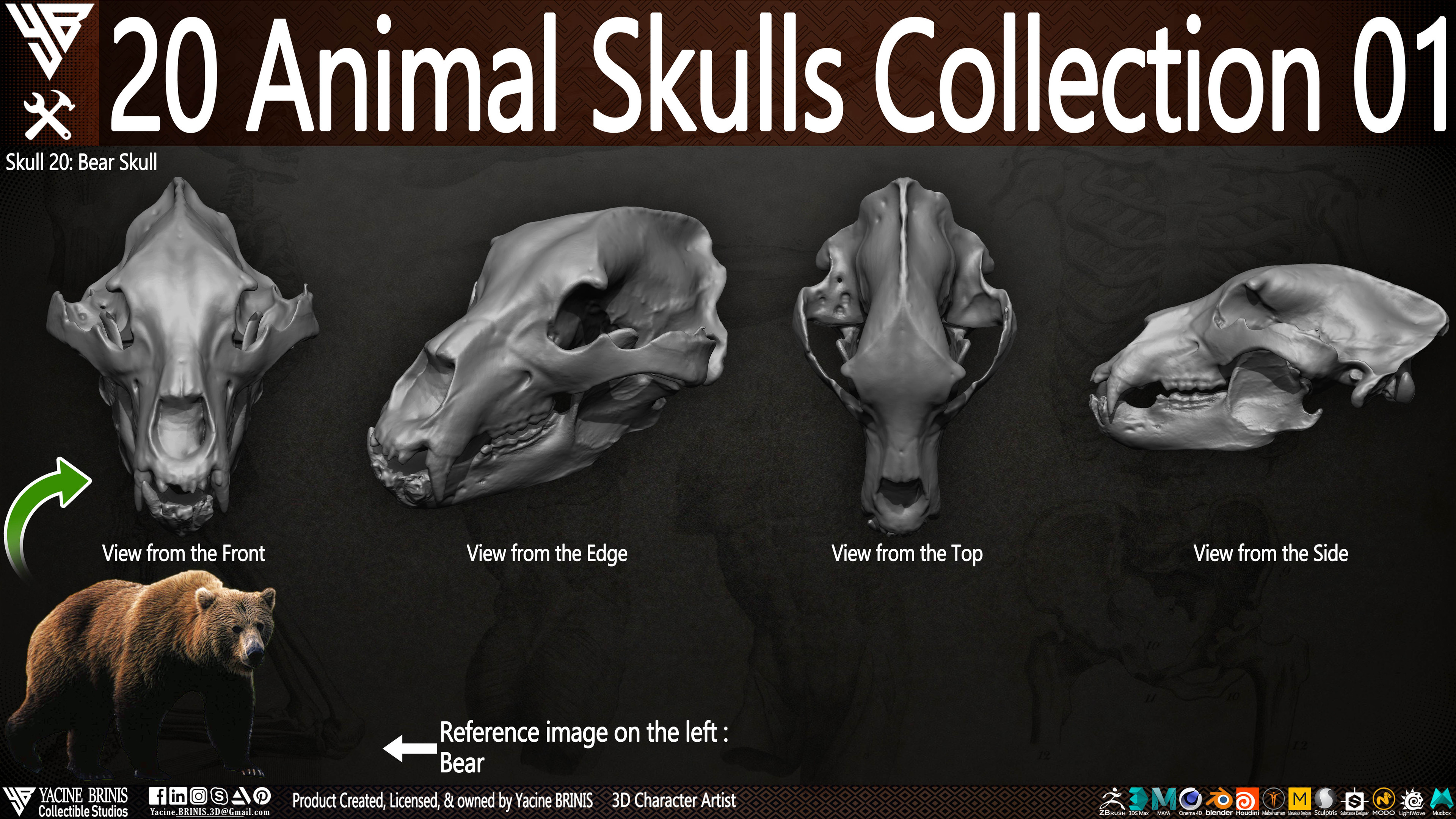 20 Animal Skulls Collection 03 By Yacine BRINIS Set 005