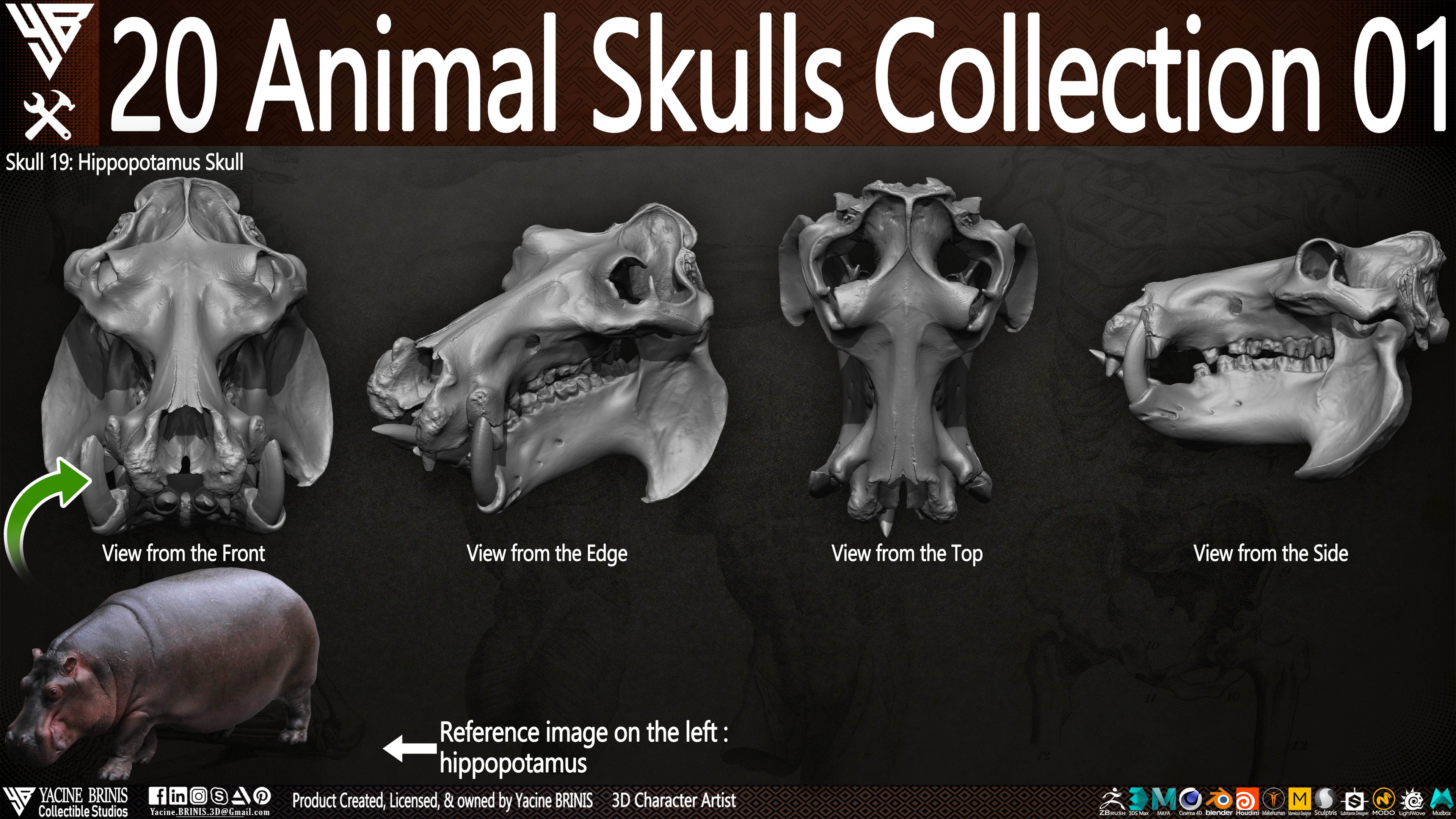 20 Animal Skulls Collection 03 By Yacine BRINIS Set 006