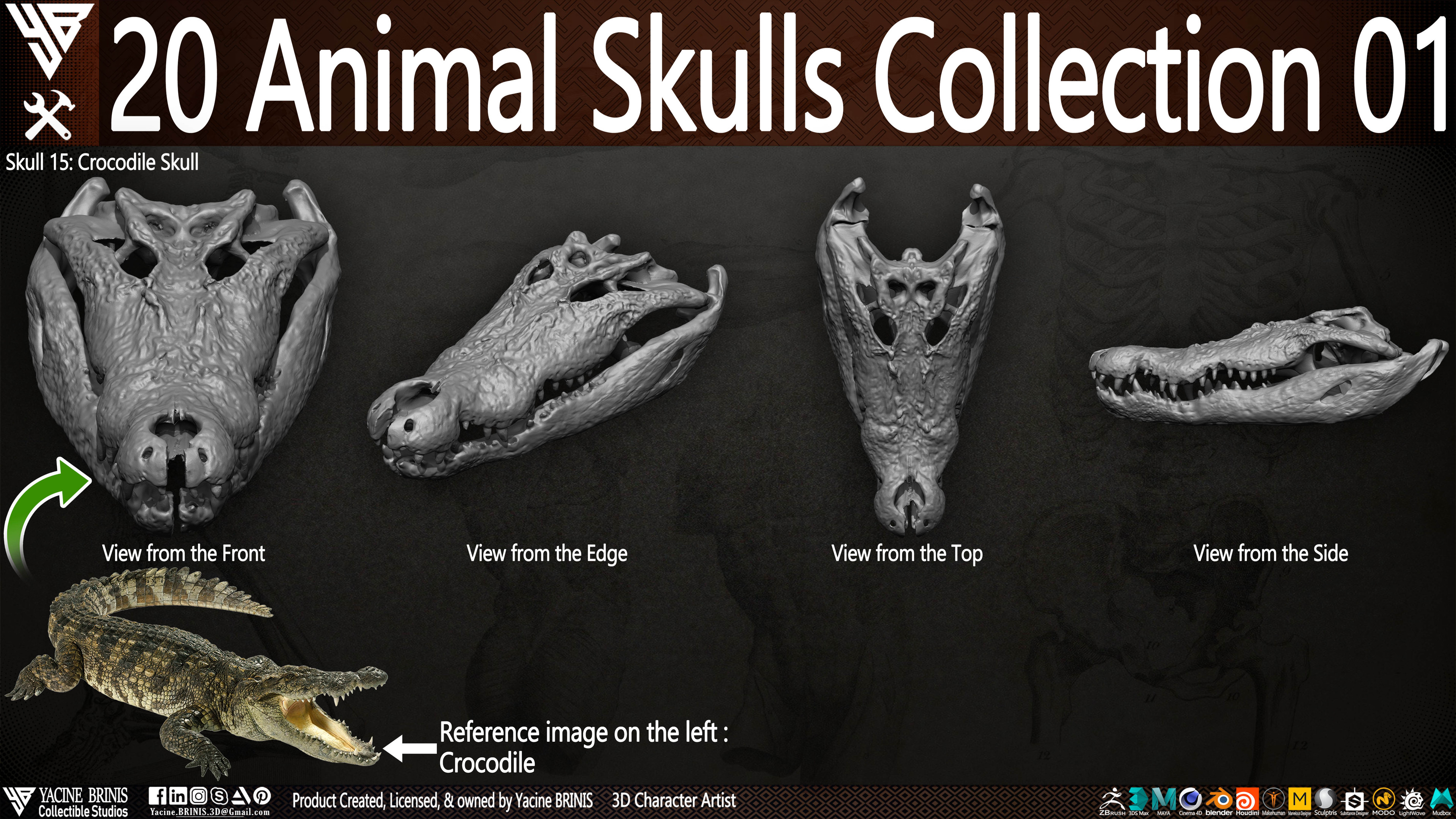 20 Animal Skulls Collection 03 By Yacine BRINIS Set 010