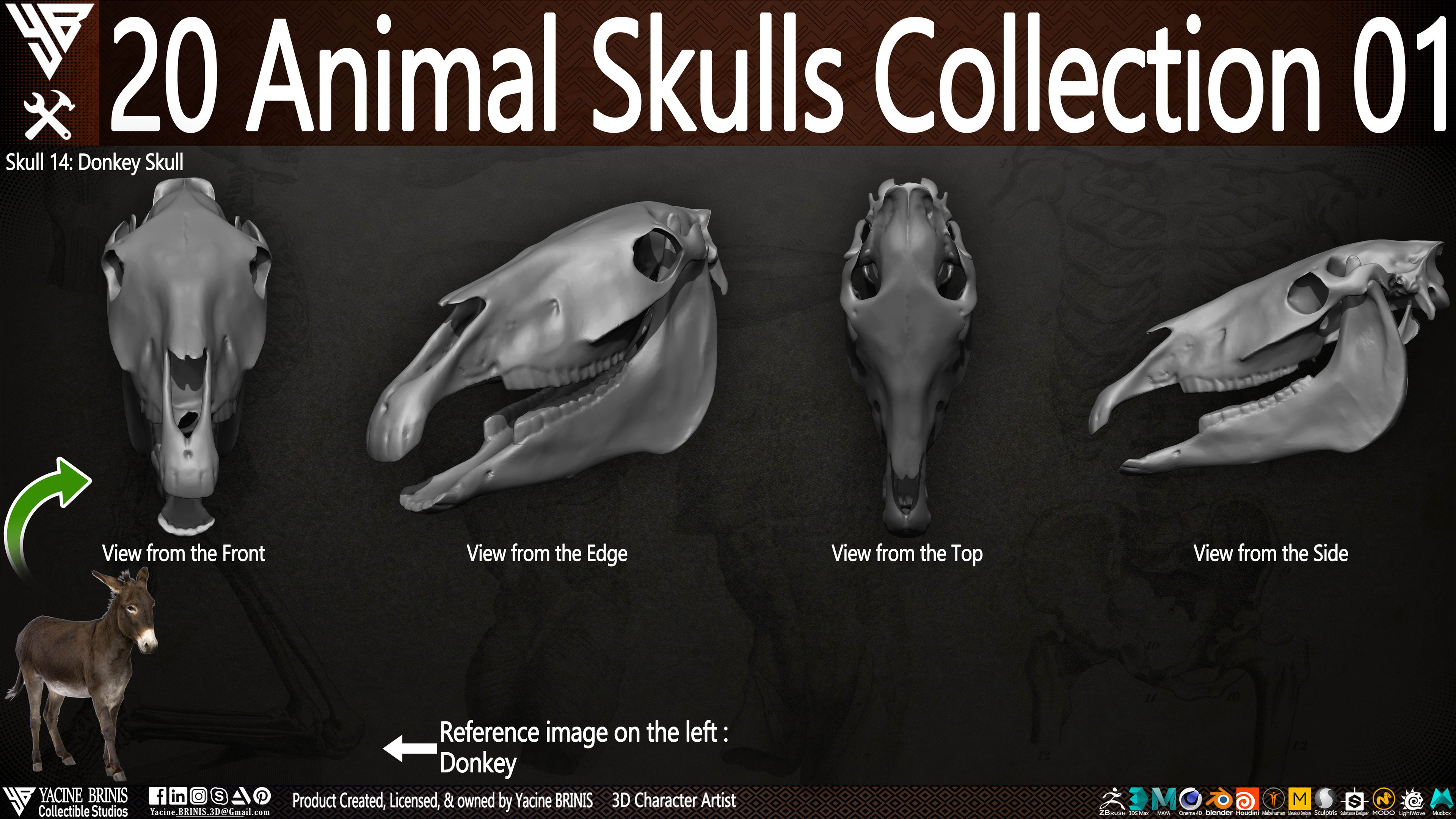 20 Animal Skulls Collection 03 By Yacine BRINIS Set 011