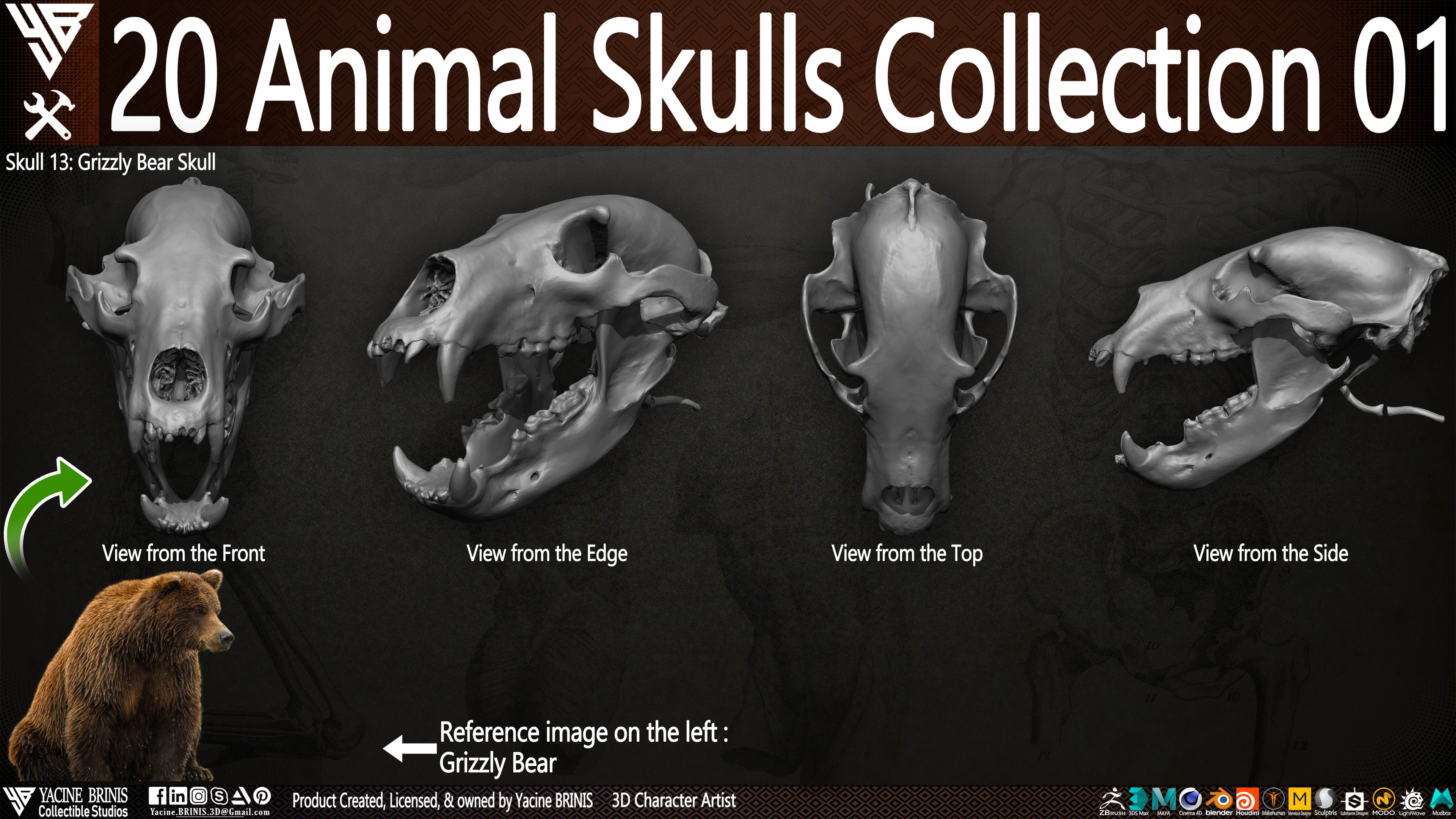 20 Animal Skulls Collection 03 By Yacine BRINIS Set 012