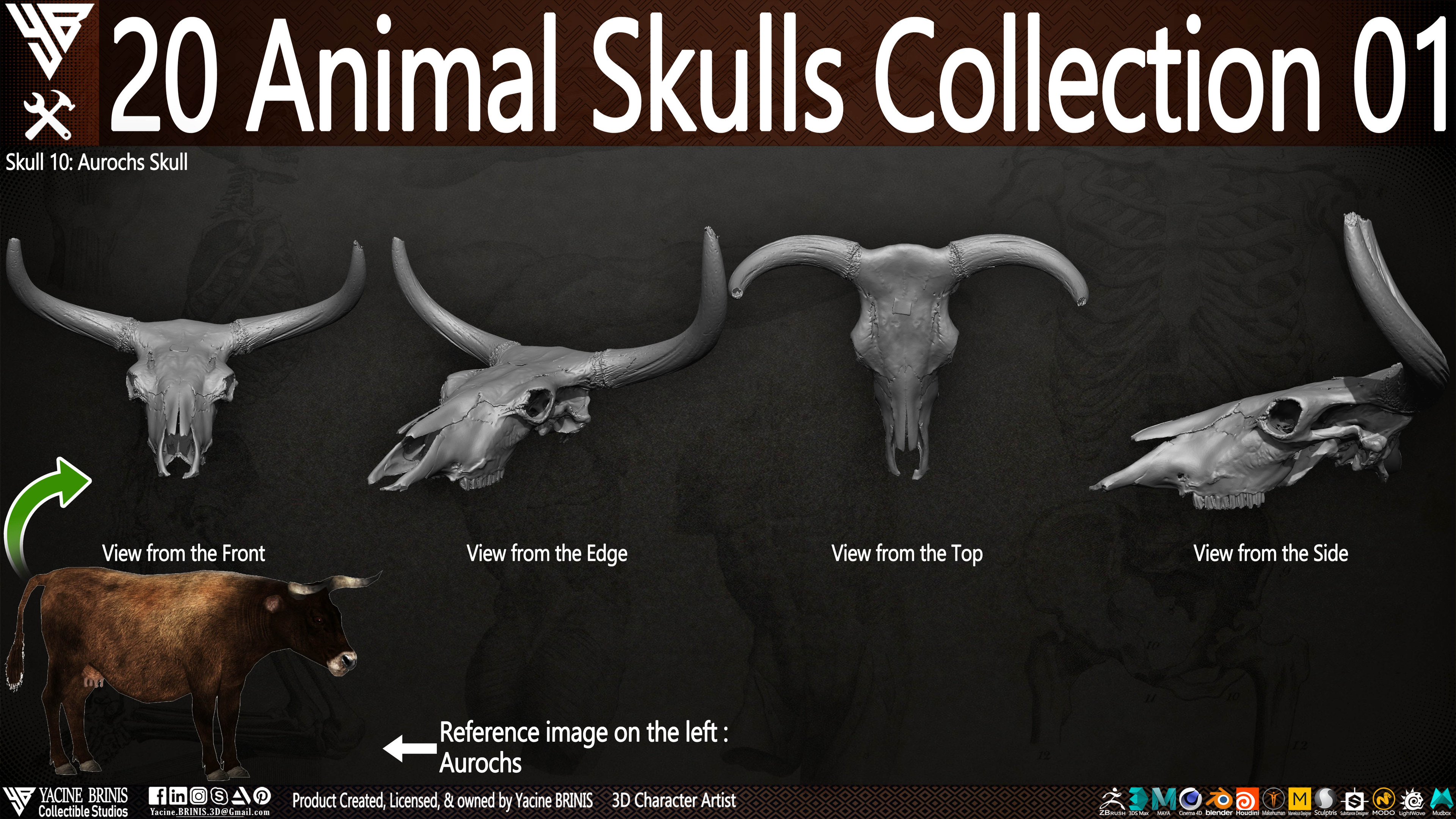 20 Animal Skulls Collection 03 By Yacine BRINIS Set 015