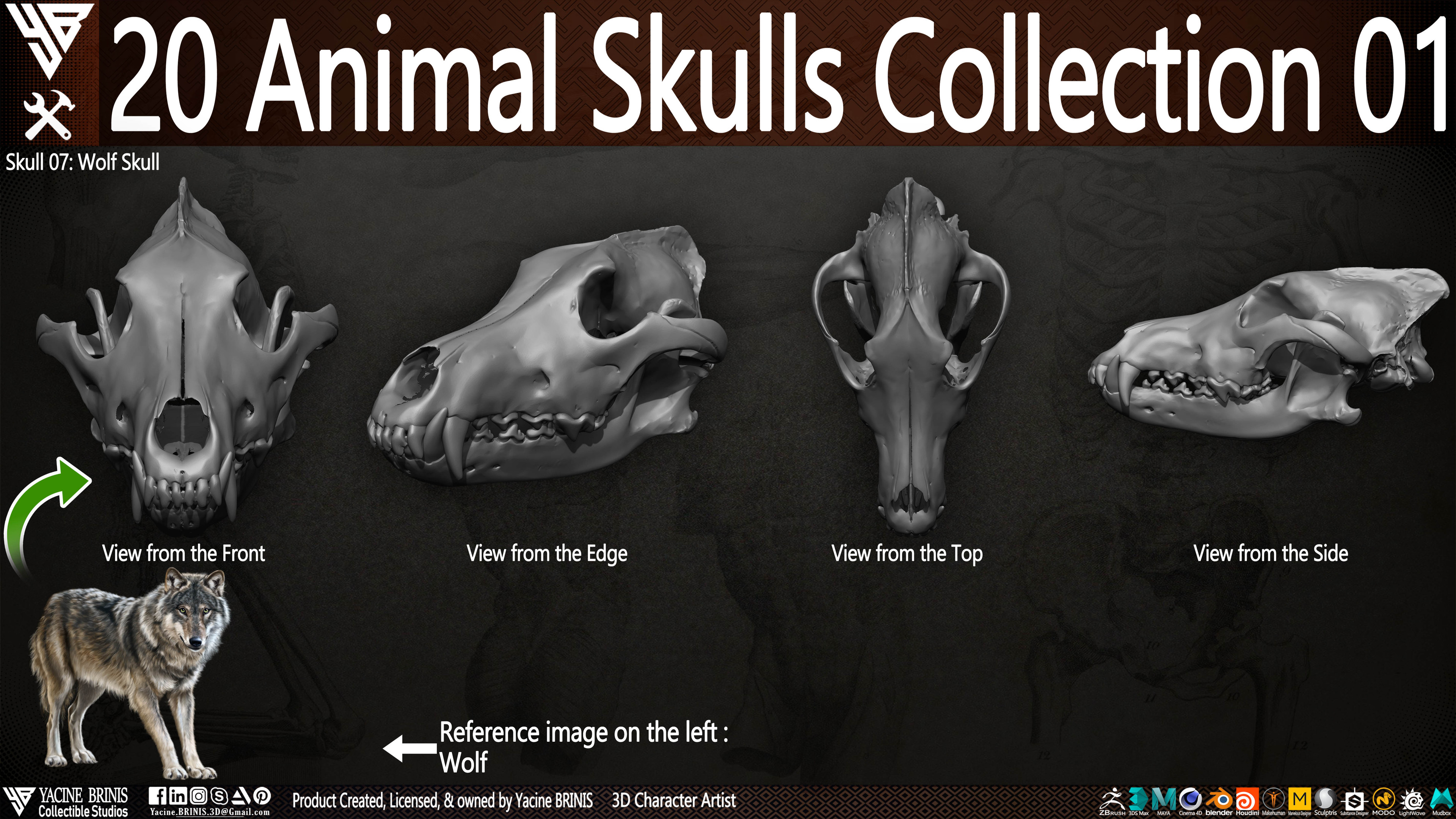 20 Animal Skulls Collection 03 By Yacine BRINIS Set 018