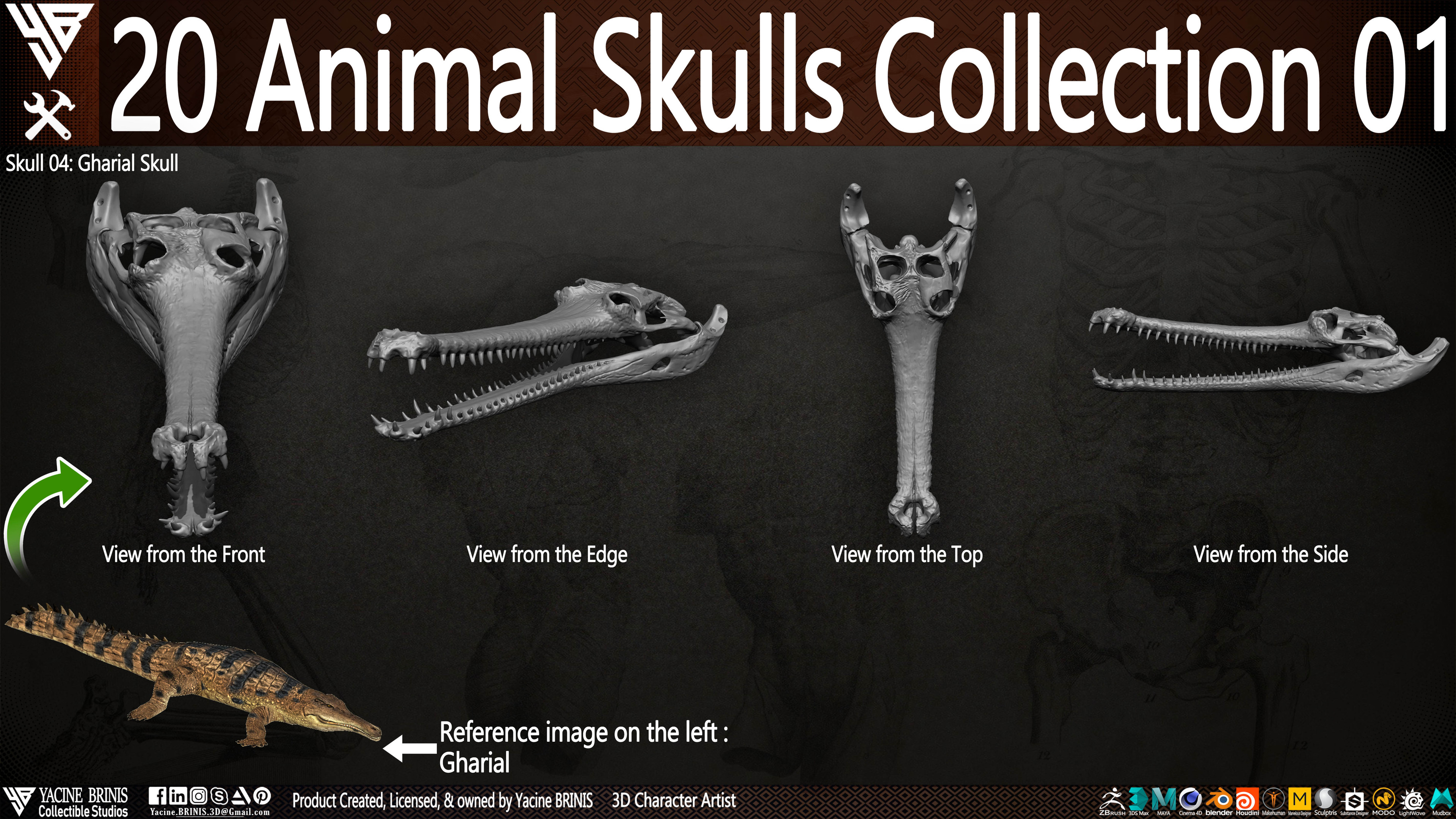 20 Animal Skulls Collection 03 By Yacine BRINIS Set 021