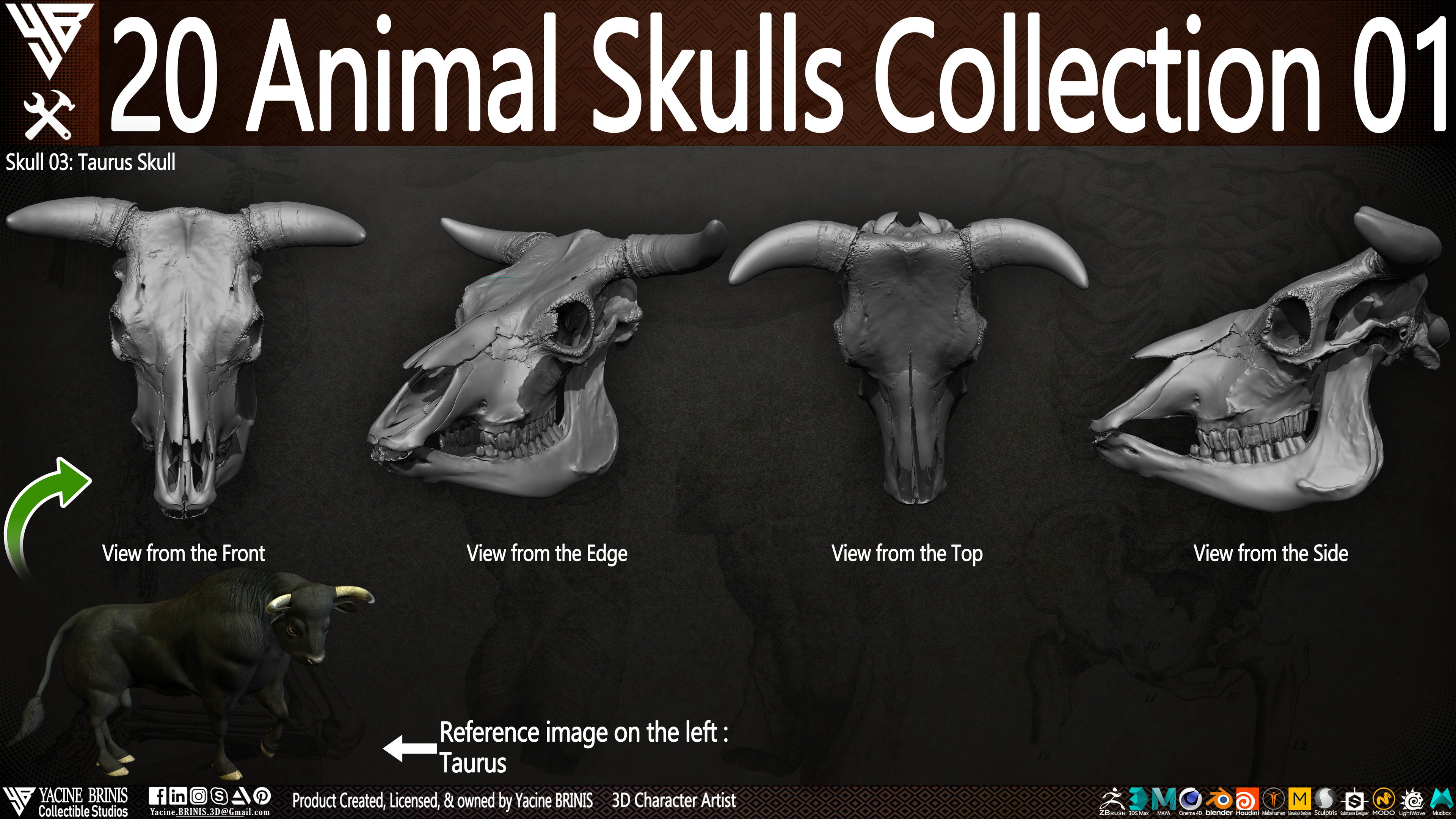 20 Animal Skulls Collection 03 By Yacine BRINIS Set 022