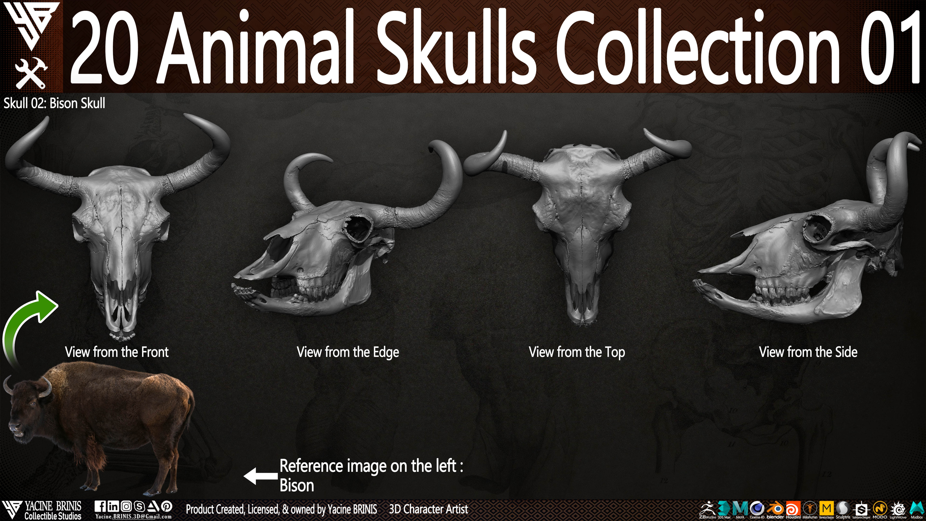 20 Animal Skulls Collection 03 By Yacine BRINIS Set 023