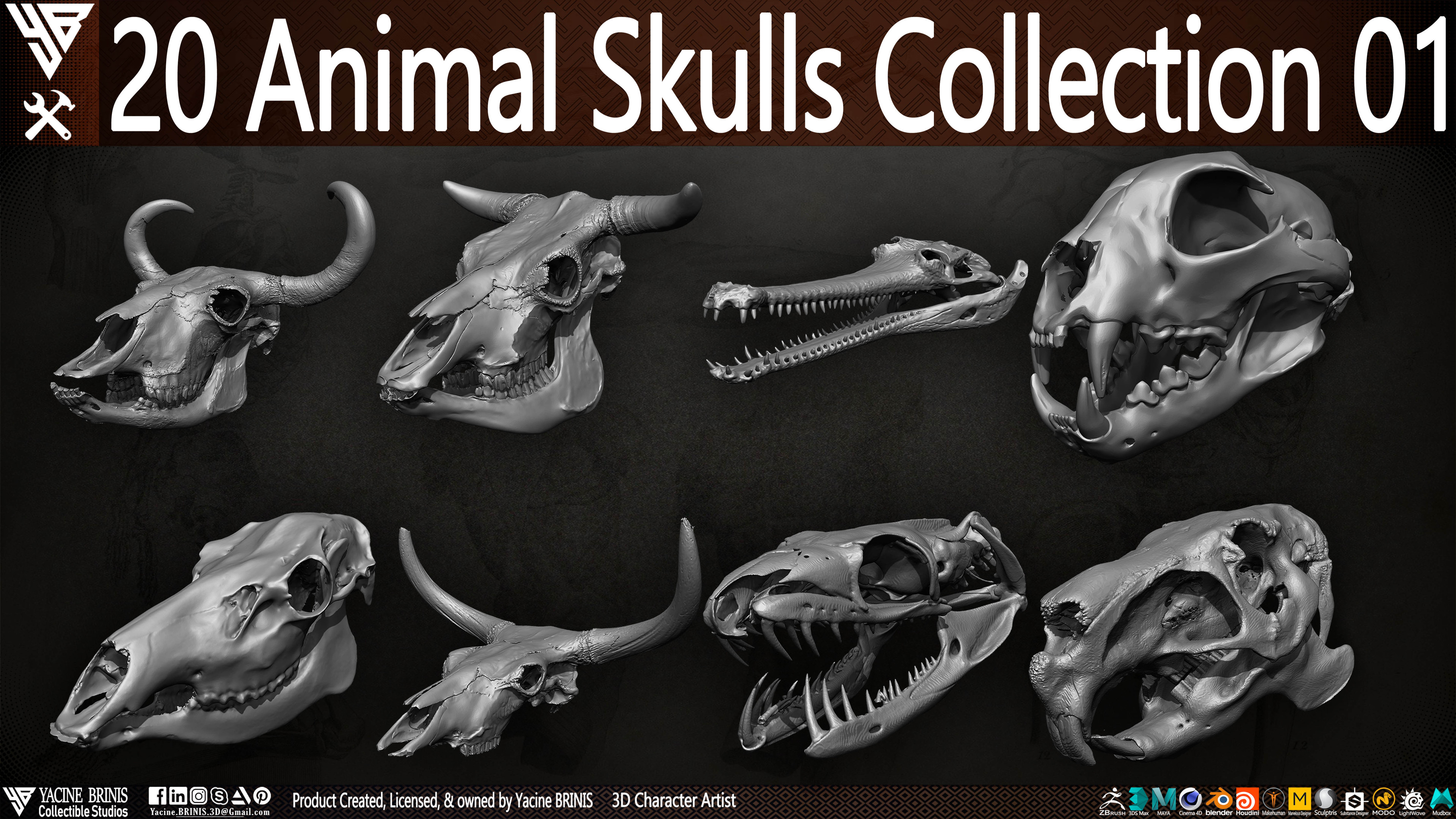 20 Animal Skulls Collection 03 By Yacine BRINIS Set 025