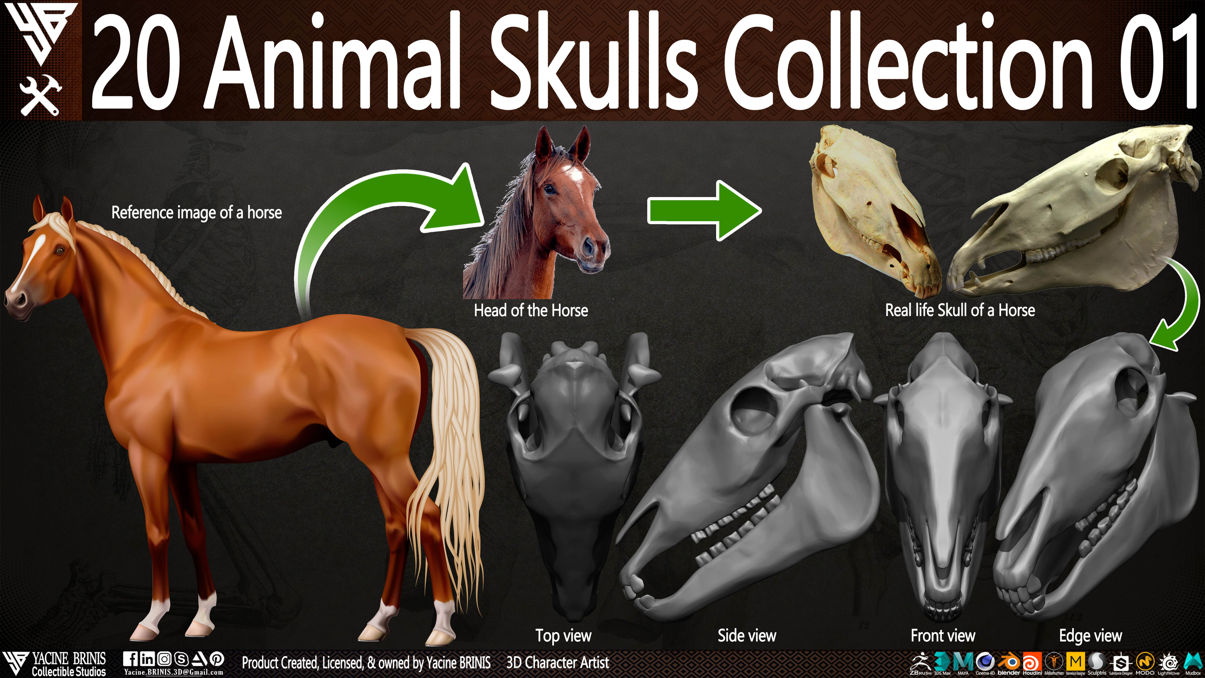 20 Animal Skulls Collection 03 By Yacine BRINIS Set 026