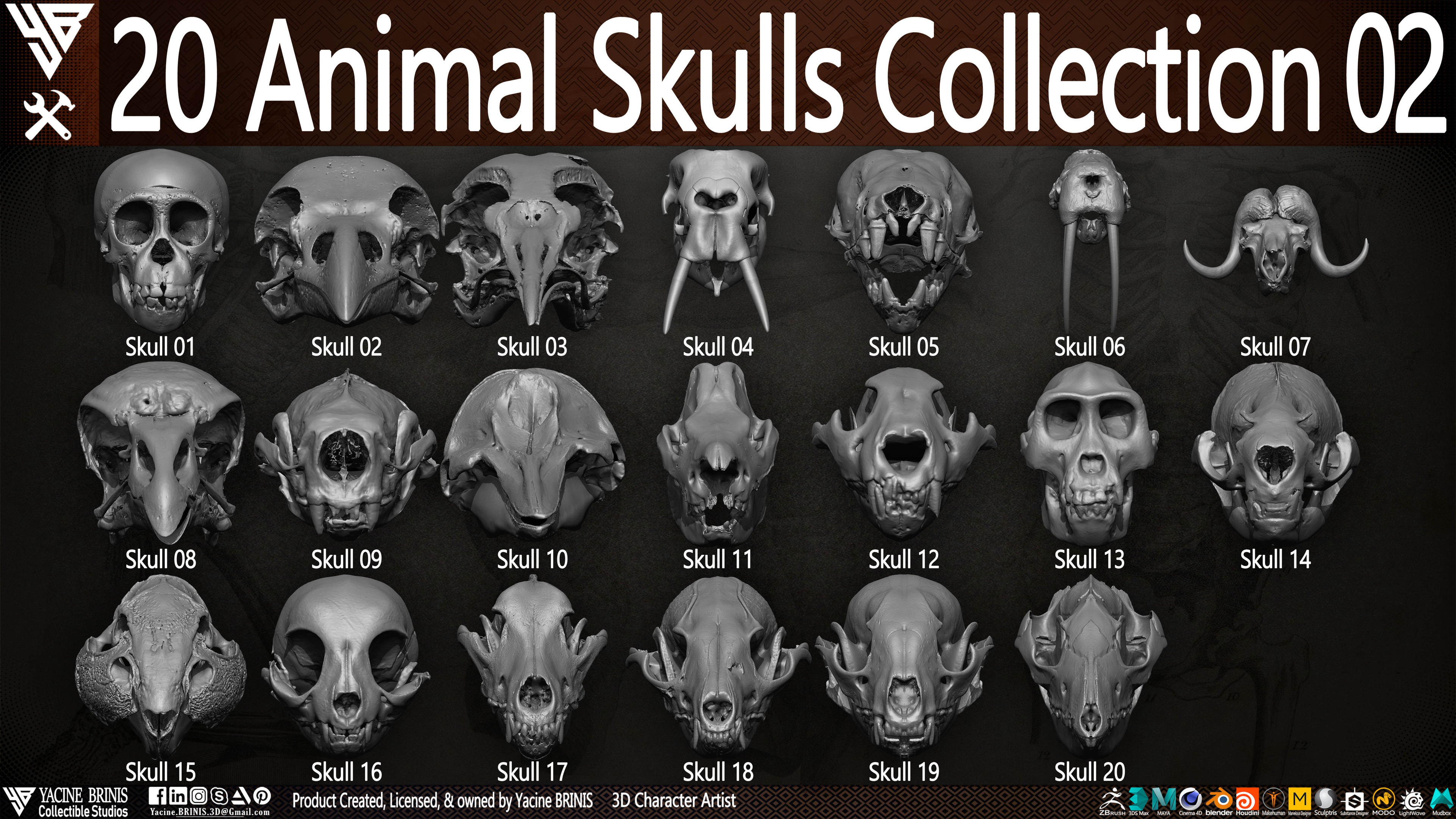 20 Animal Skulls Collection 03 By Yacine BRINIS Set 028