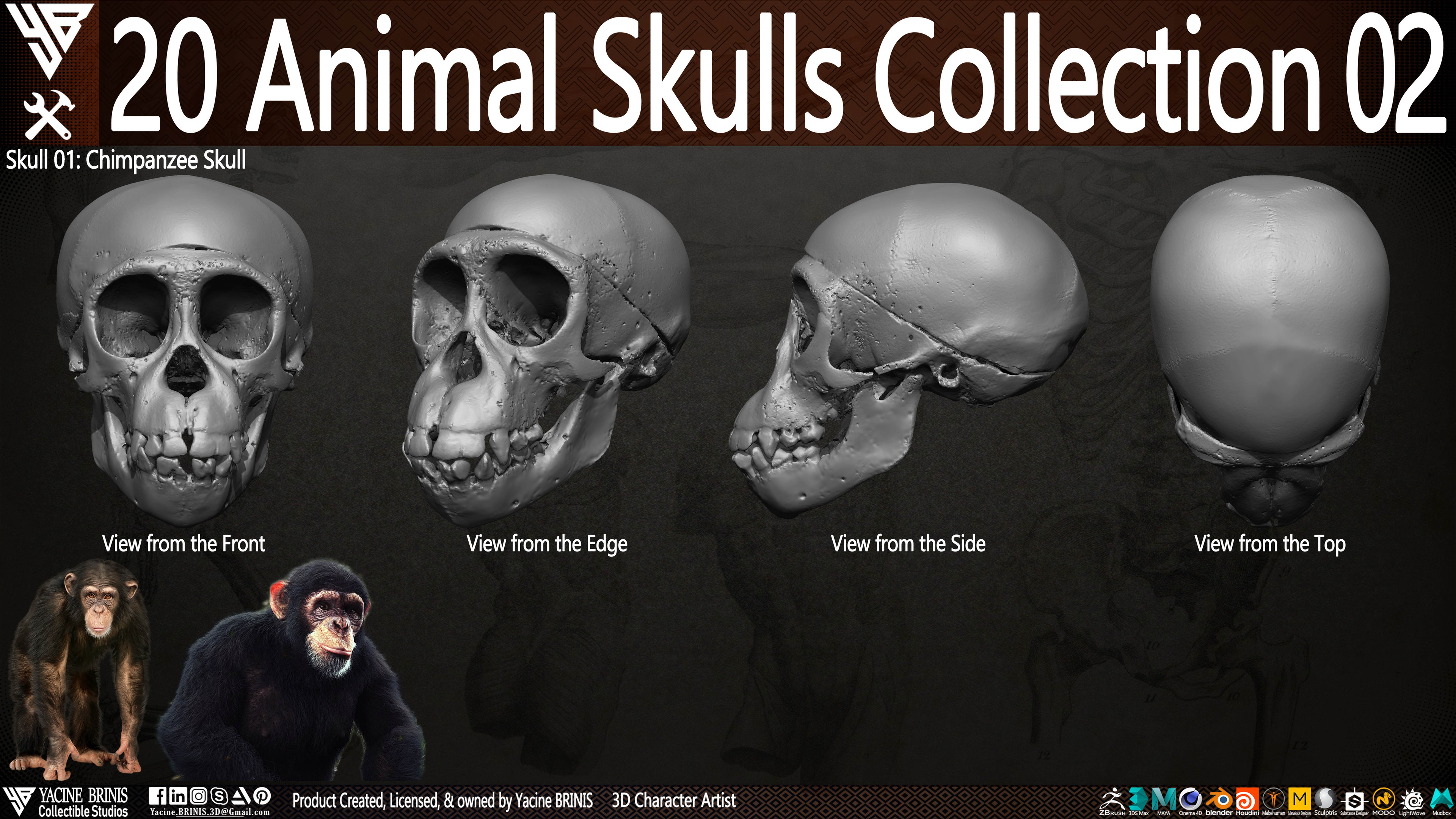 20 Animal Skulls Collection 03 By Yacine BRINIS Set 032