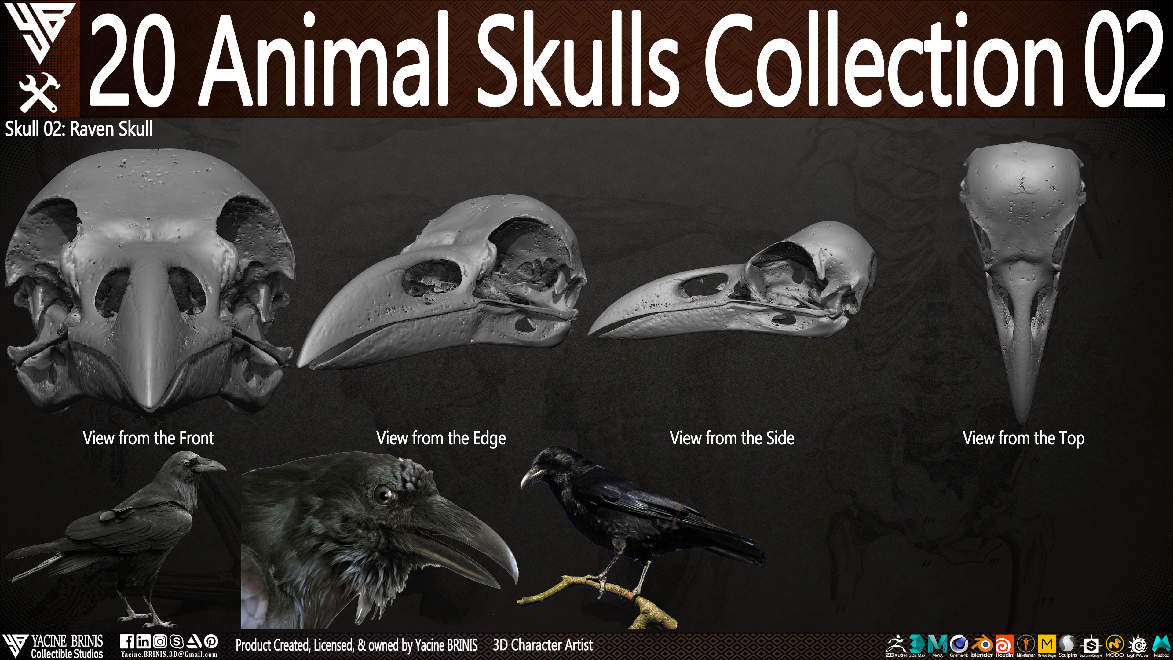 20 Animal Skulls Collection 03 By Yacine BRINIS Set 033
