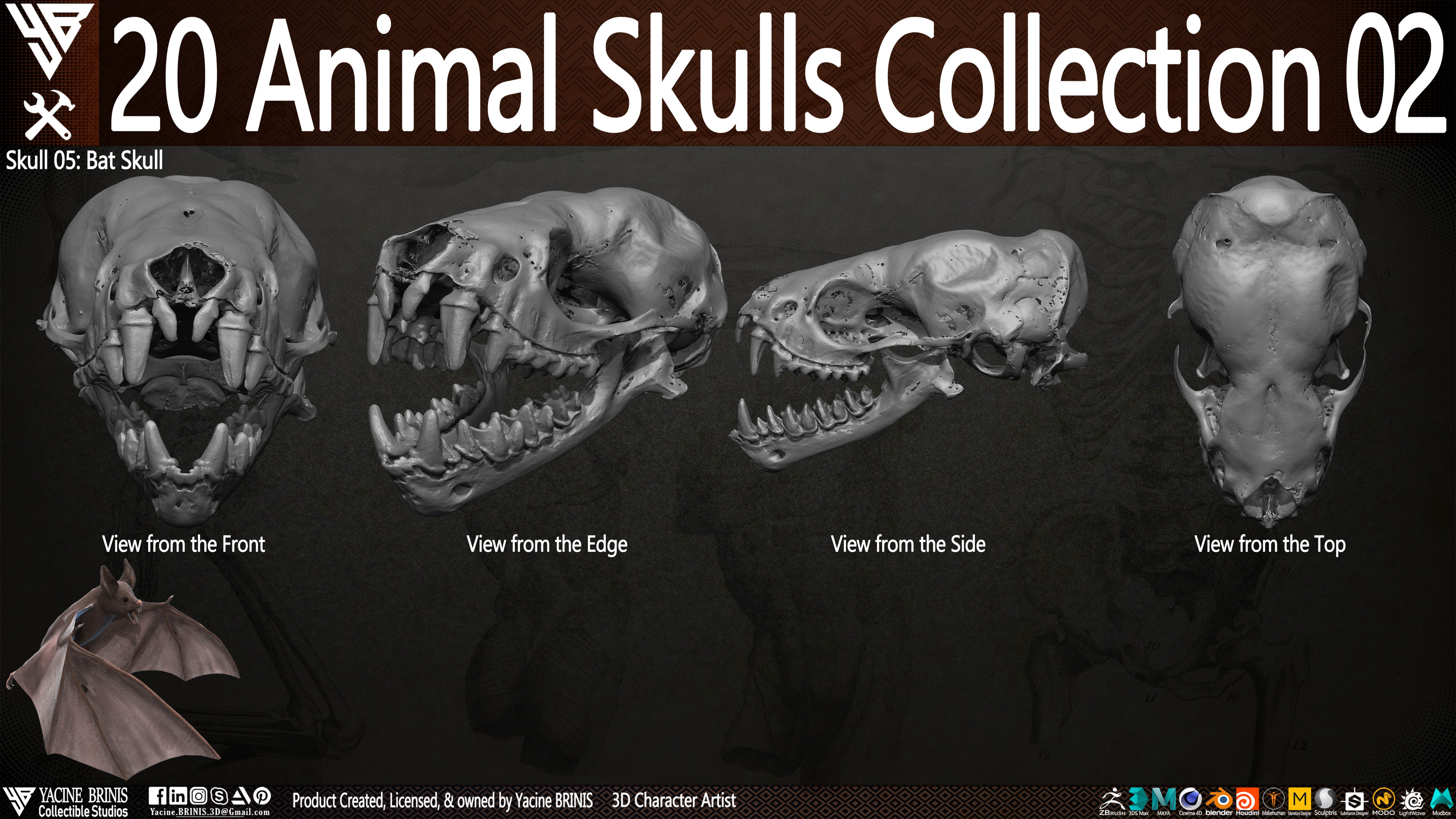 20 Animal Skulls Collection 03 By Yacine BRINIS Set 036