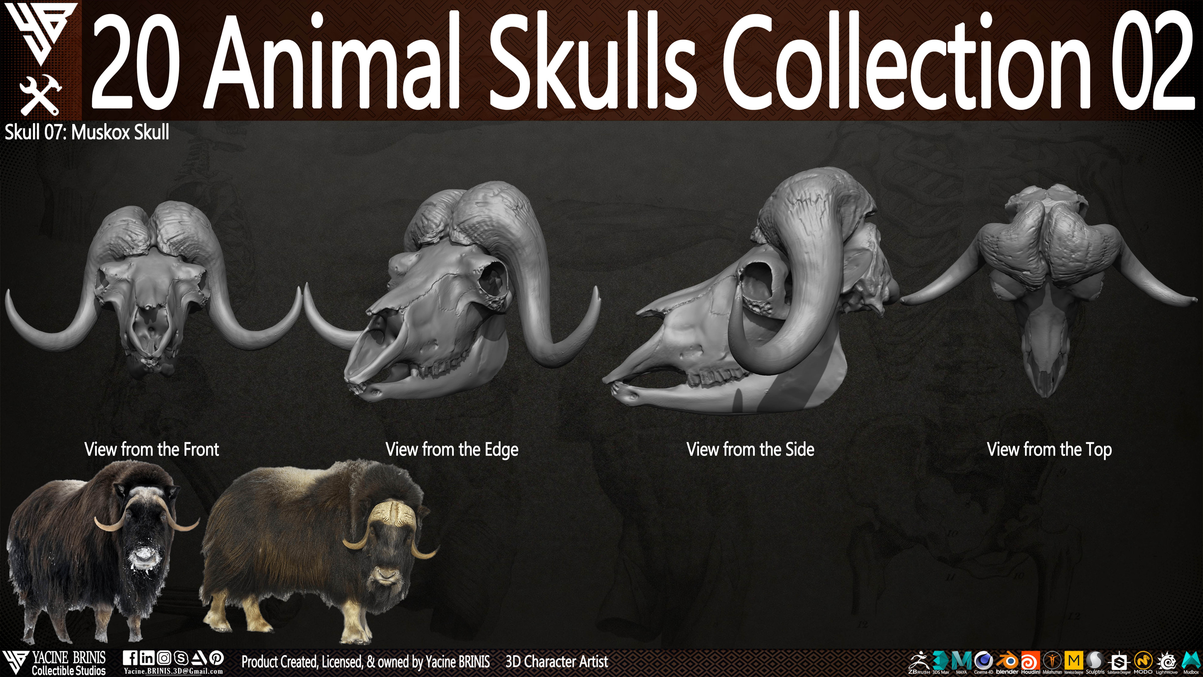 20 Animal Skulls Collection 03 By Yacine BRINIS Set 038