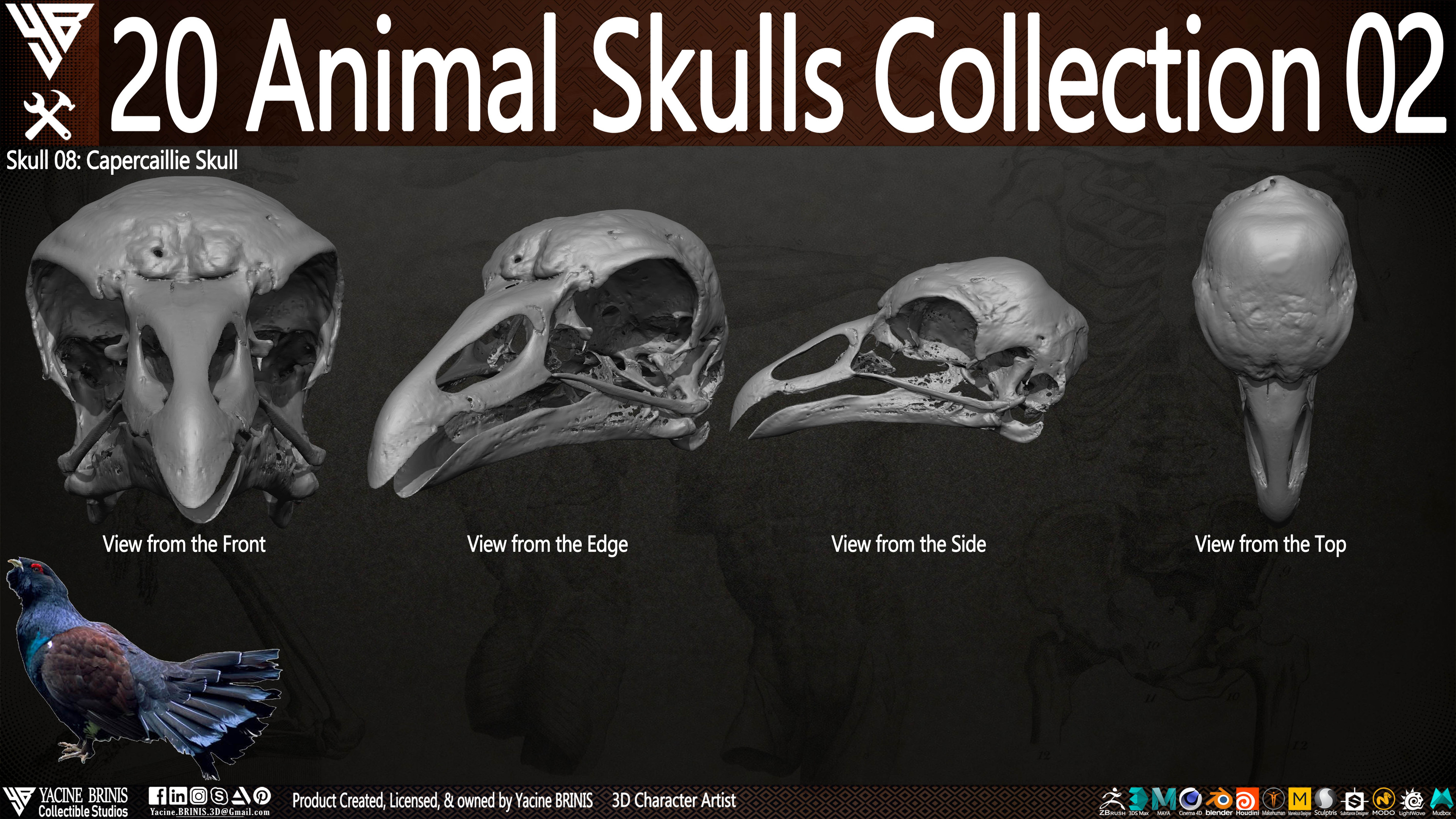20 Animal Skulls Collection 03 By Yacine BRINIS Set 039