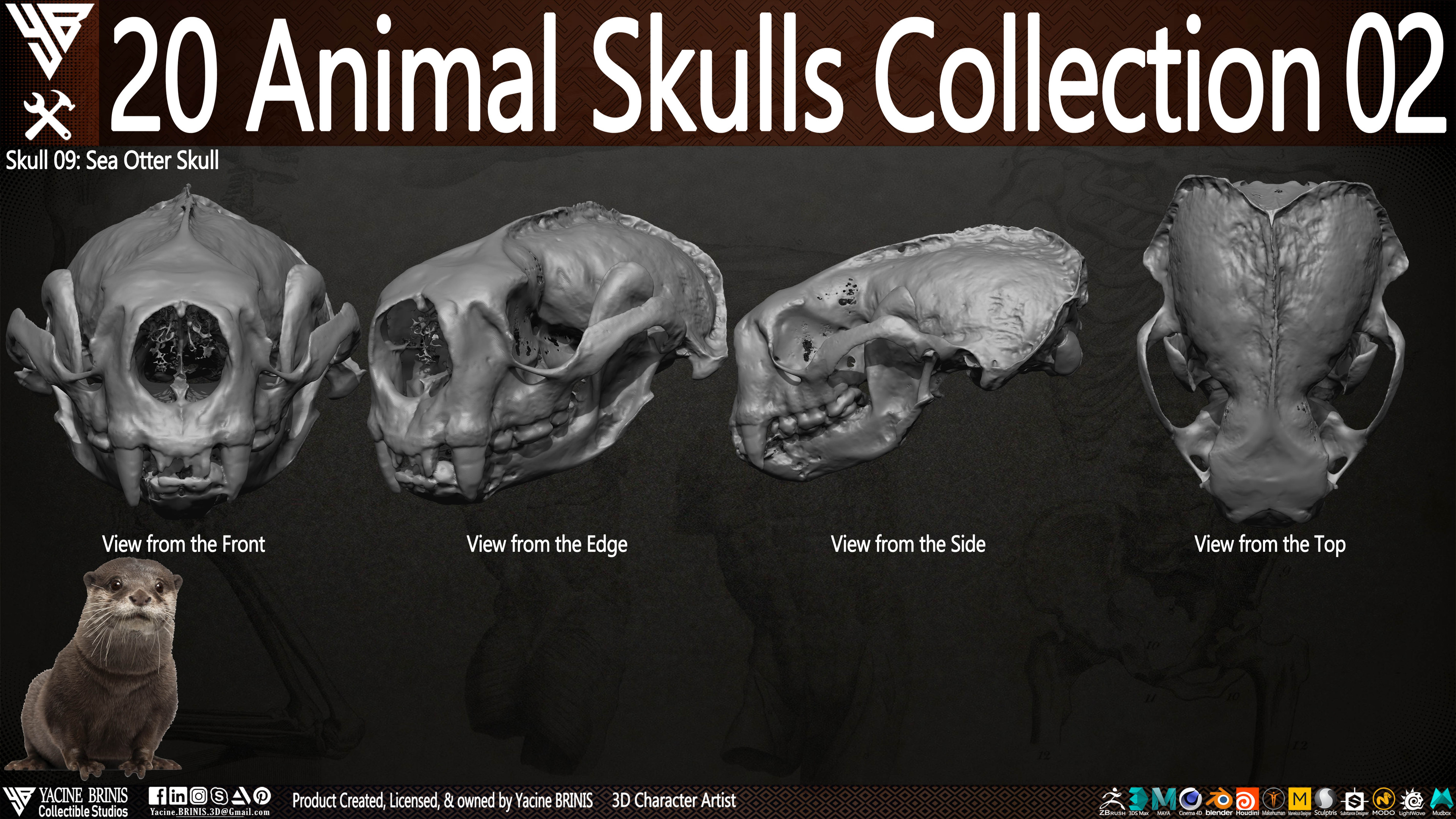 20 Animal Skulls Collection 03 By Yacine BRINIS Set 040