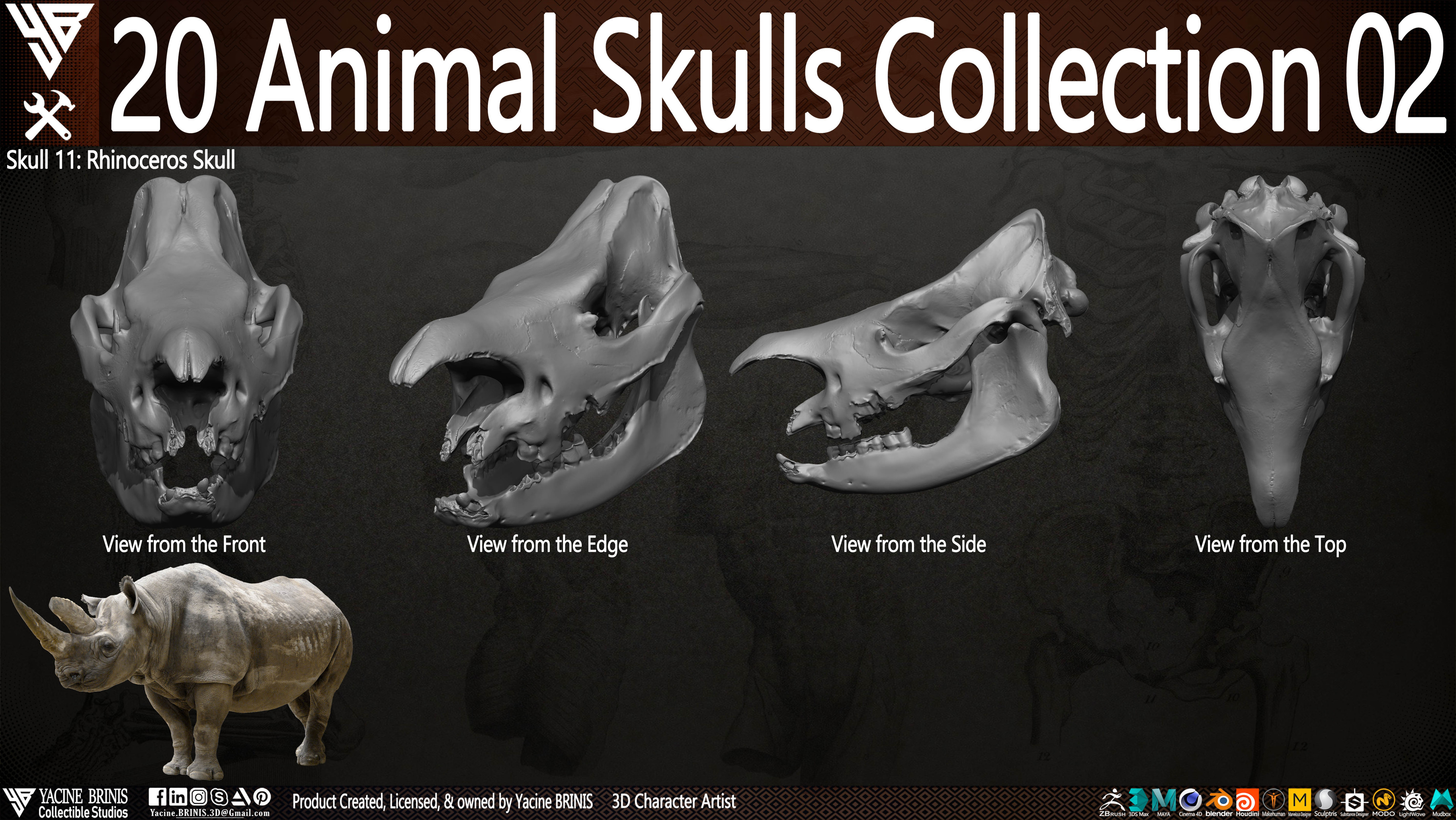20 Animal Skulls Collection 03 By Yacine BRINIS Set 042